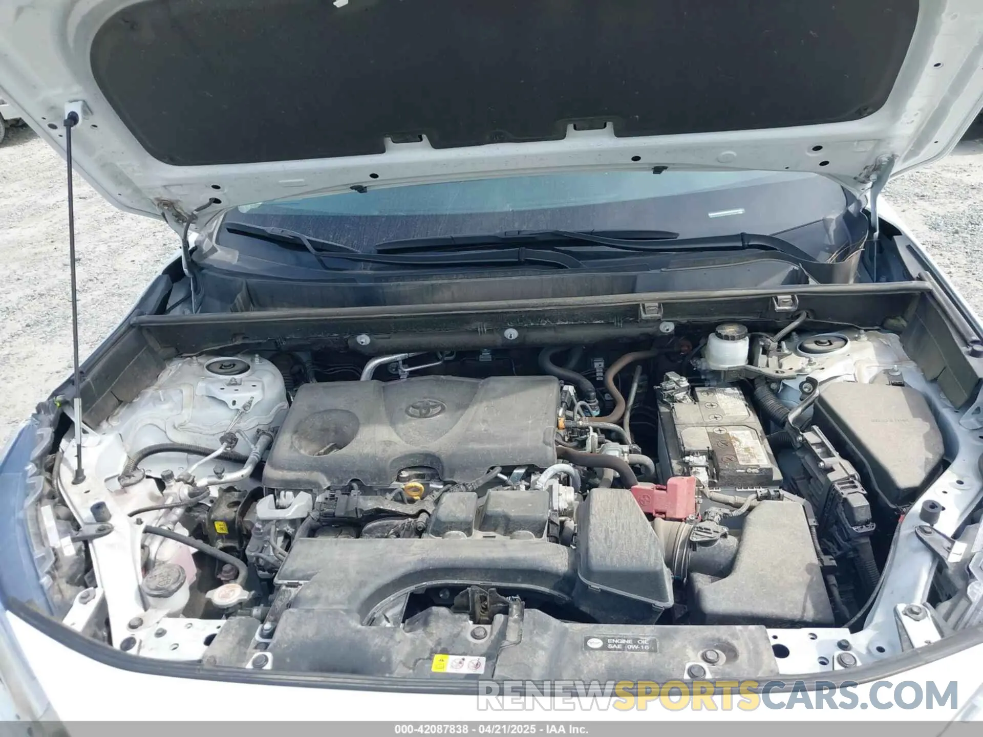 10 fotografías del automóvil dañado 2T3W1RFV4PW271681 TOYOTA RAV4 2023