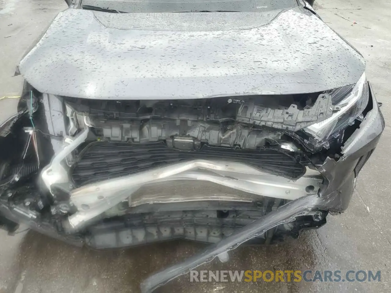 12 fotografías del automóvil dañado 2T3W1RFV5PC223768 TOYOTA RAV4 2023