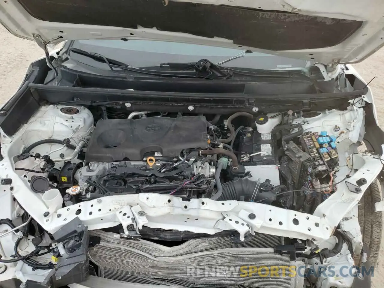 12 fotografías del automóvil dañado 2T3W1RFV6PC250316 TOYOTA RAV4 2023