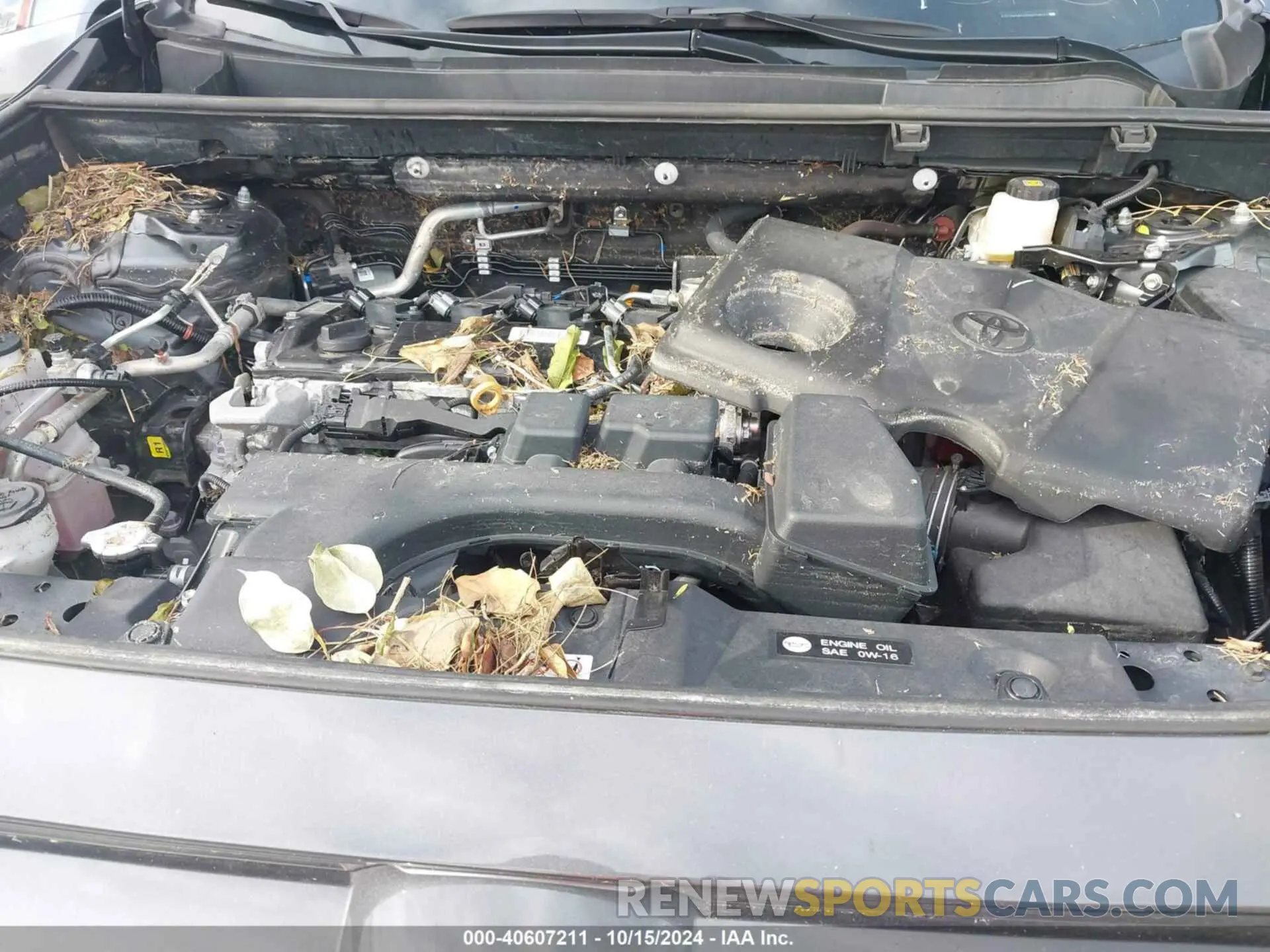 6 fotografías del automóvil dañado 2T3W1RFV6PW238553 TOYOTA RAV4 2023