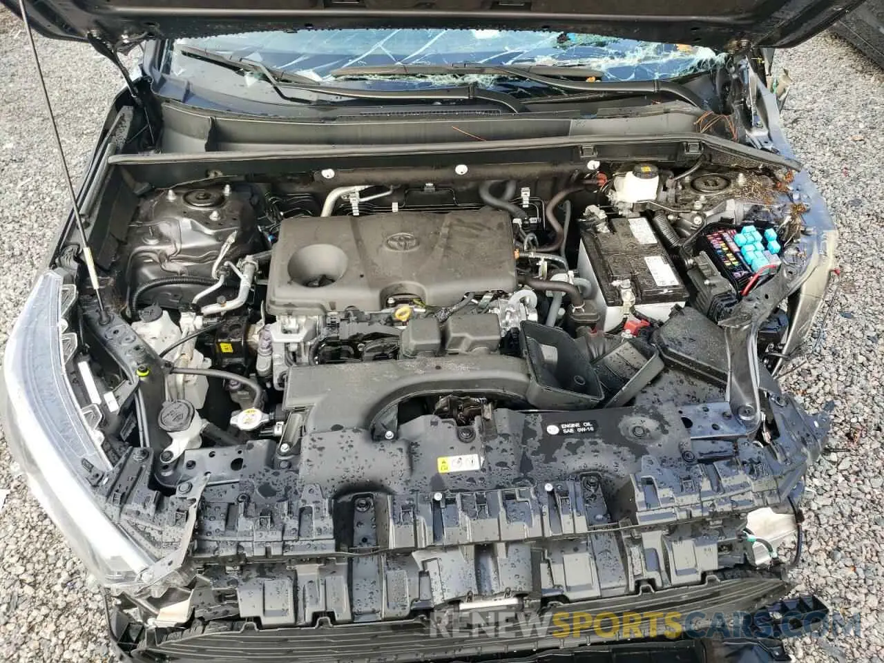 12 fotografías del automóvil dañado 2T3W1RFV8PW282330 TOYOTA RAV4 2023