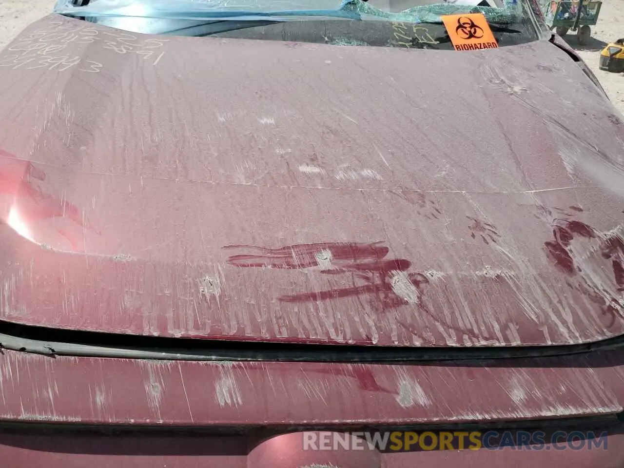 11 fotografías del automóvil dañado 2T3W1RFV8PW293943 TOYOTA RAV4 2023