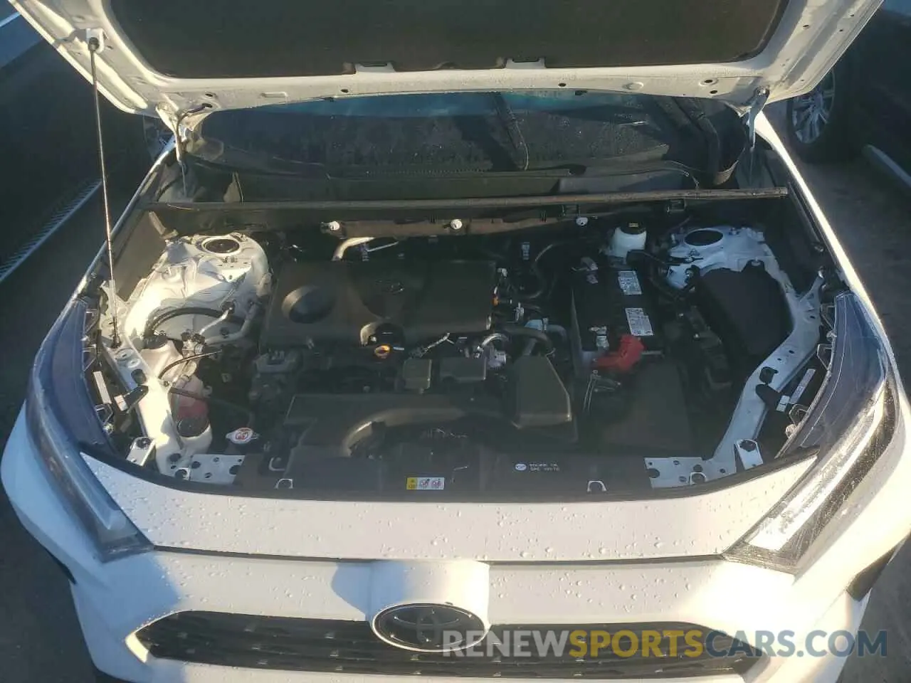 12 fotografías del automóvil dañado 2T3W1RFV9PC224101 TOYOTA RAV4 2023