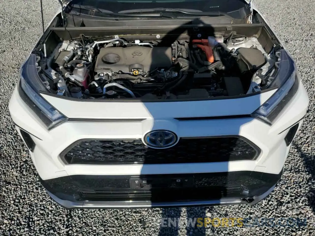 13 fotografías del automóvil dañado JTMAB3FV1PD142878 TOYOTA RAV4 2023