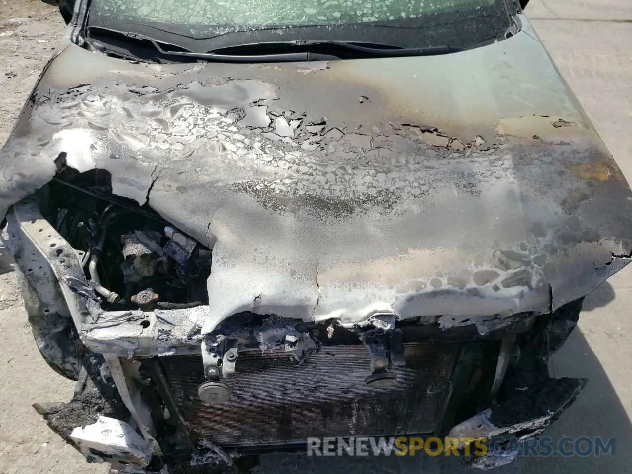 13 fotografías del automóvil dañado JTMRWRFV1PD171808 TOYOTA RAV4 2023
