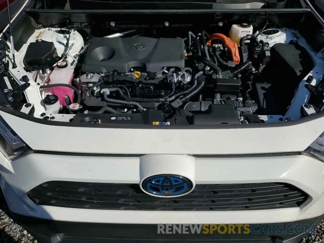 12 fotografías del automóvil dañado JTMRWRFV1PD201664 TOYOTA RAV4 2023