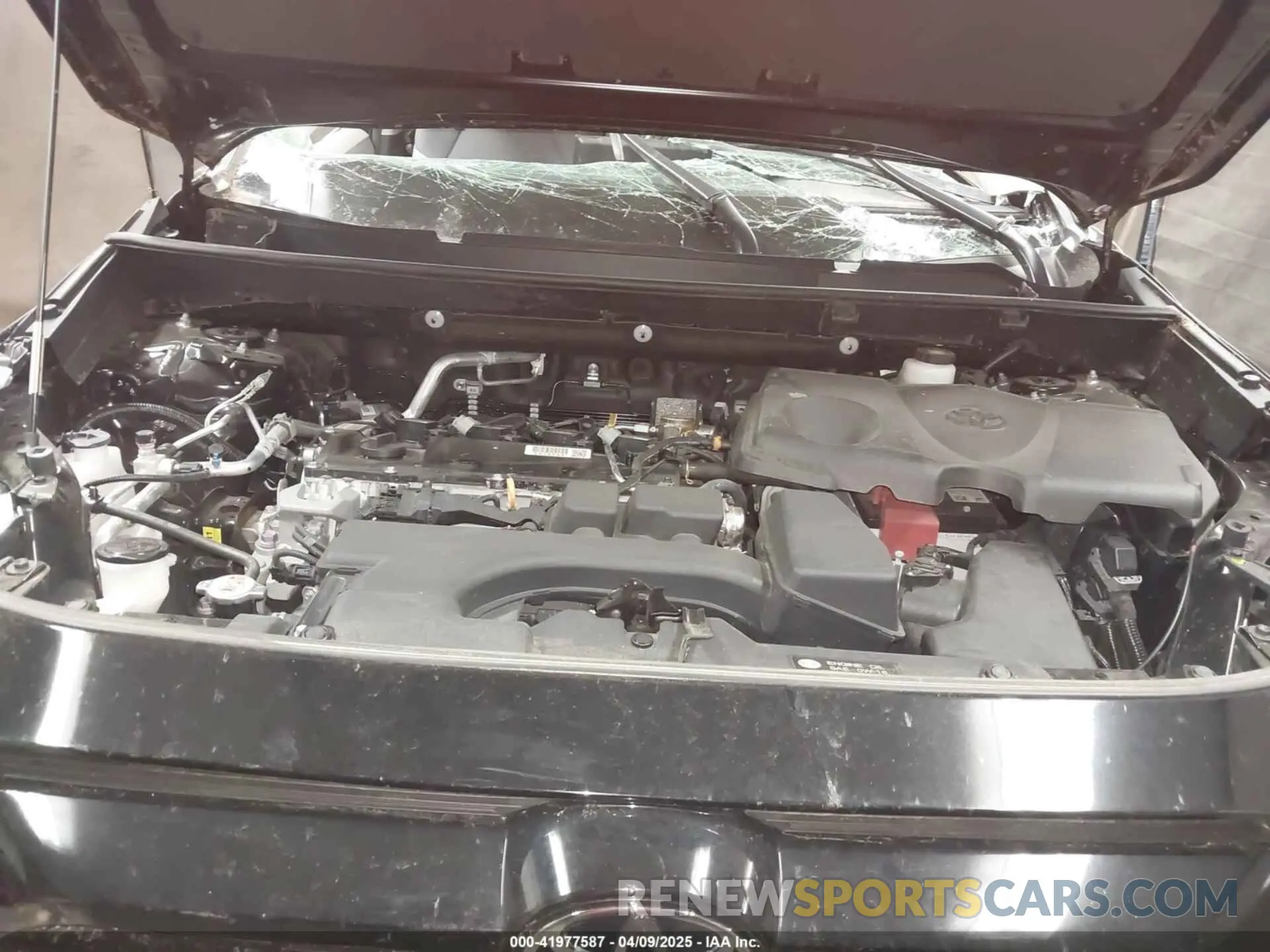 10 fotografías del automóvil dañado 2T3A1RFV3RC405031 TOYOTA RAV4 2024