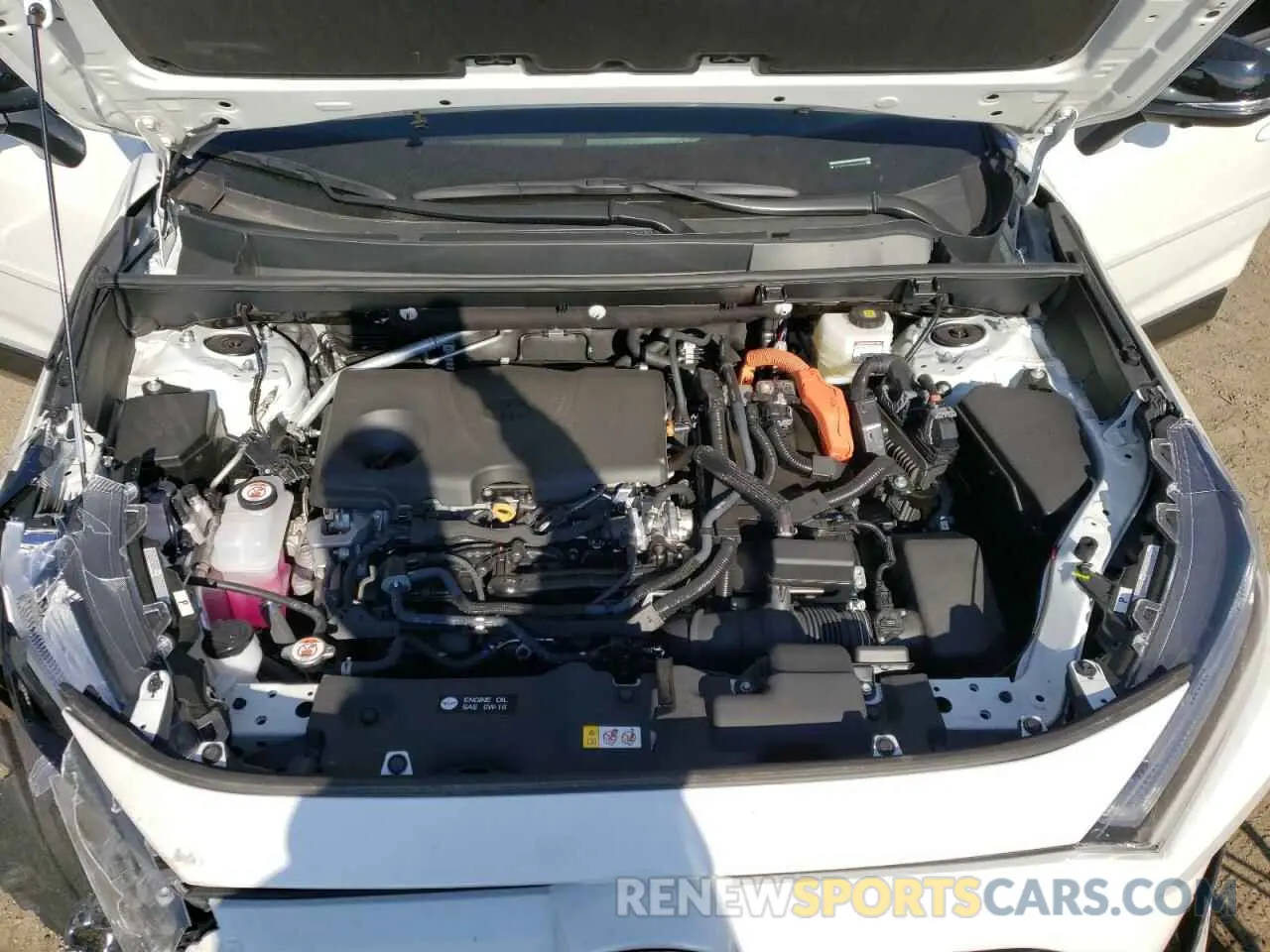 12 fotografías del automóvil dañado 2T3E6RFV4RW066930 TOYOTA RAV4 2024