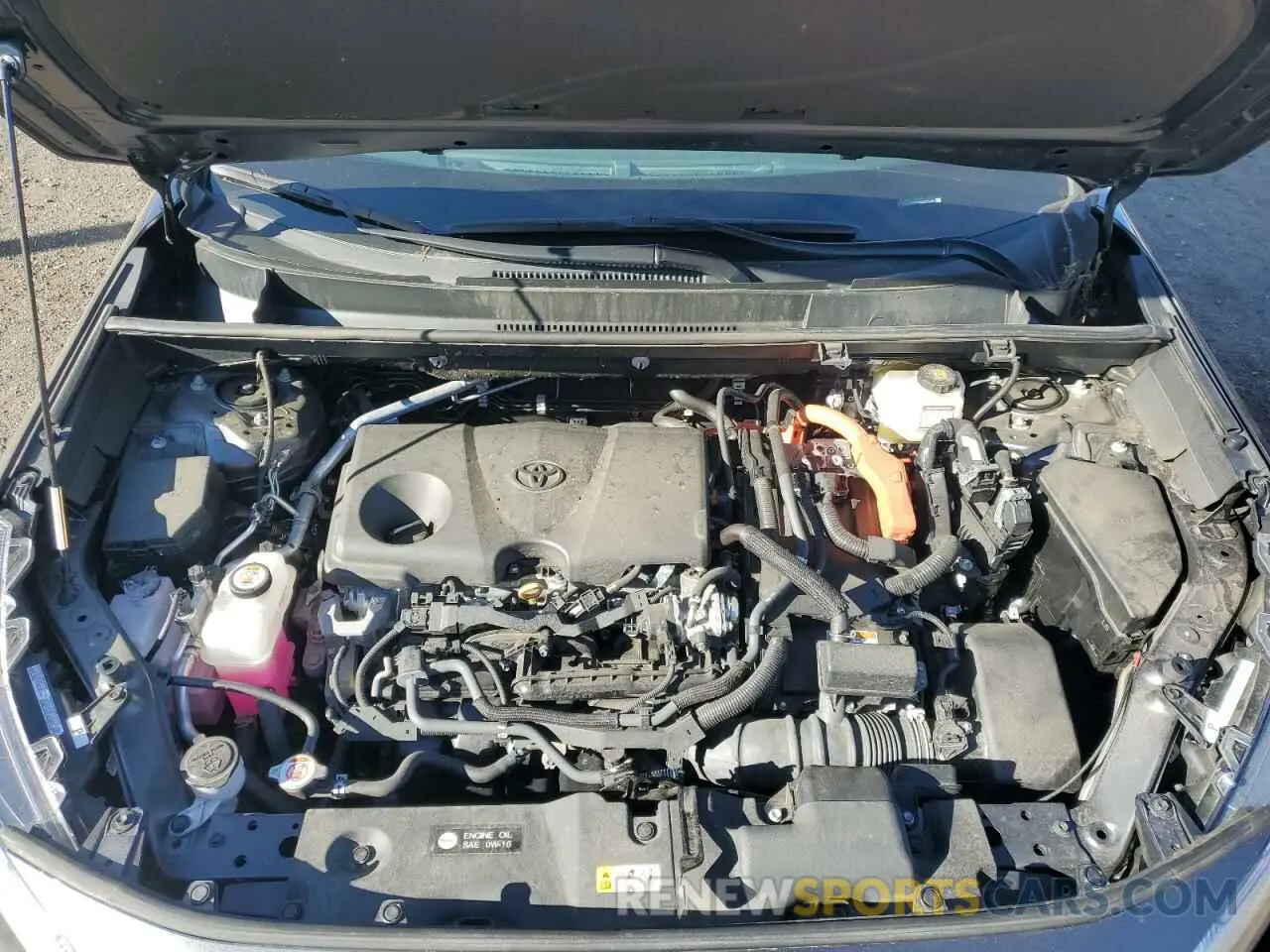 12 fotografías del automóvil dañado 2T3E6RFV7RW055081 TOYOTA RAV4 2024