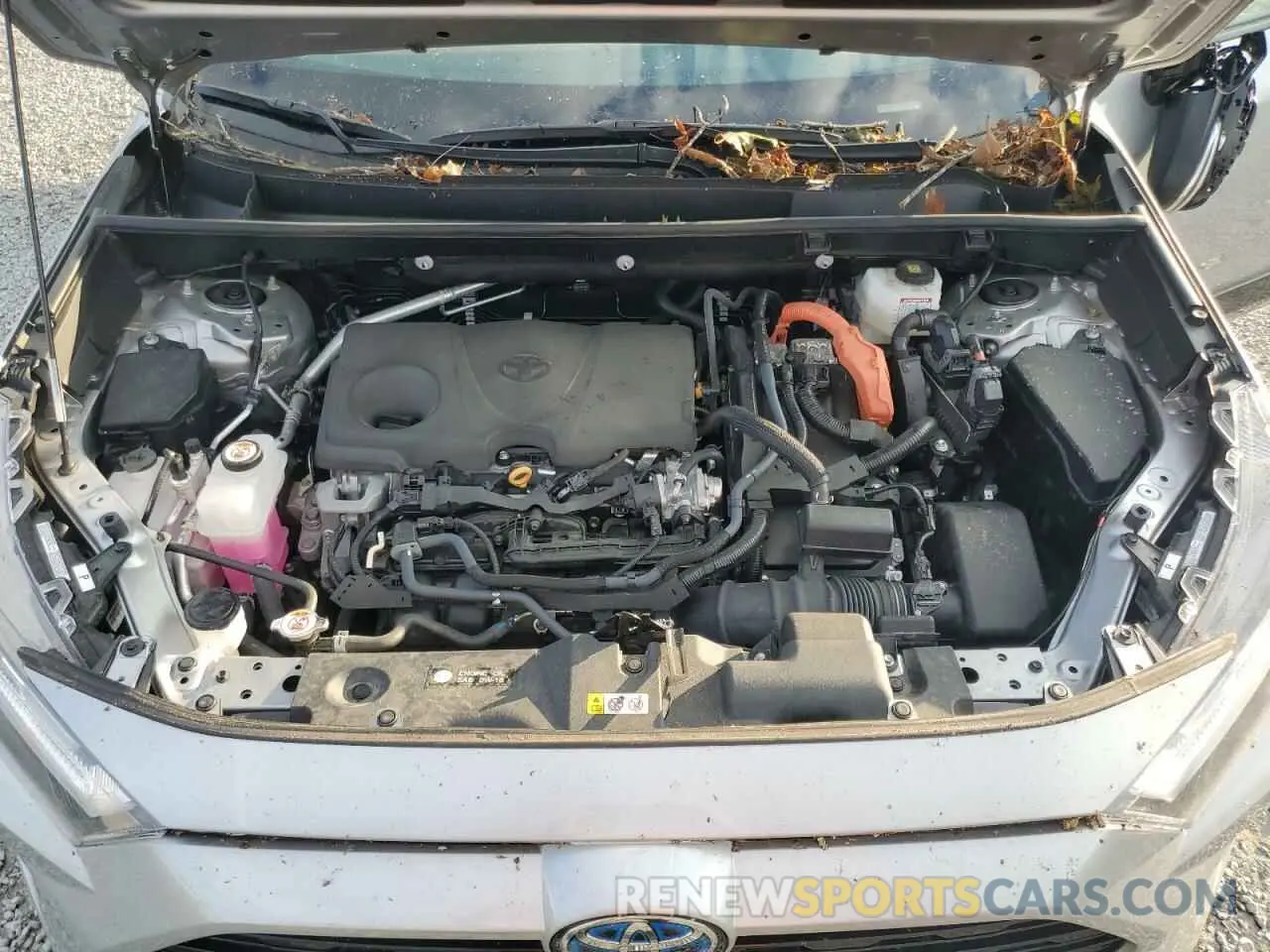 12 fotografías del automóvil dañado 2T3E6RFVXRW049825 TOYOTA RAV4 2024