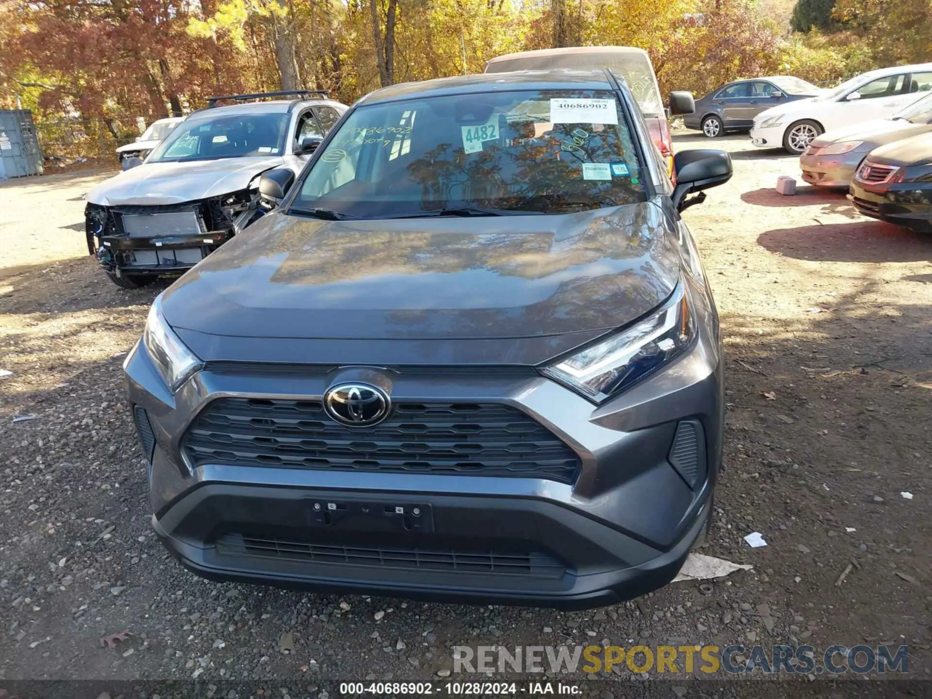 12 fotografías del automóvil dañado 2T3F1RFV4RC408932 TOYOTA RAV4 2024