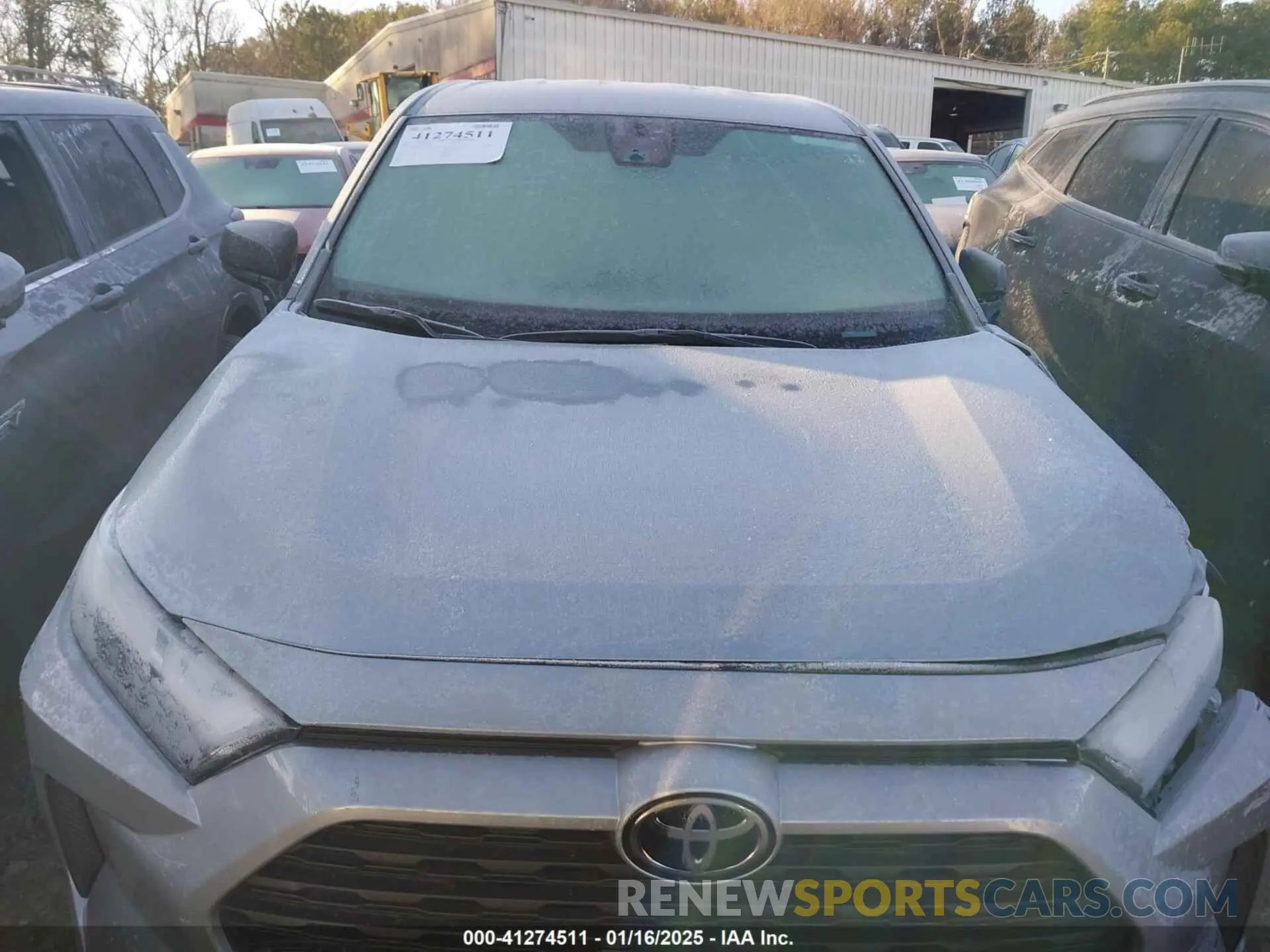 12 fotografías del automóvil dañado 2T3H1RFV1RW306382 TOYOTA RAV4 2024