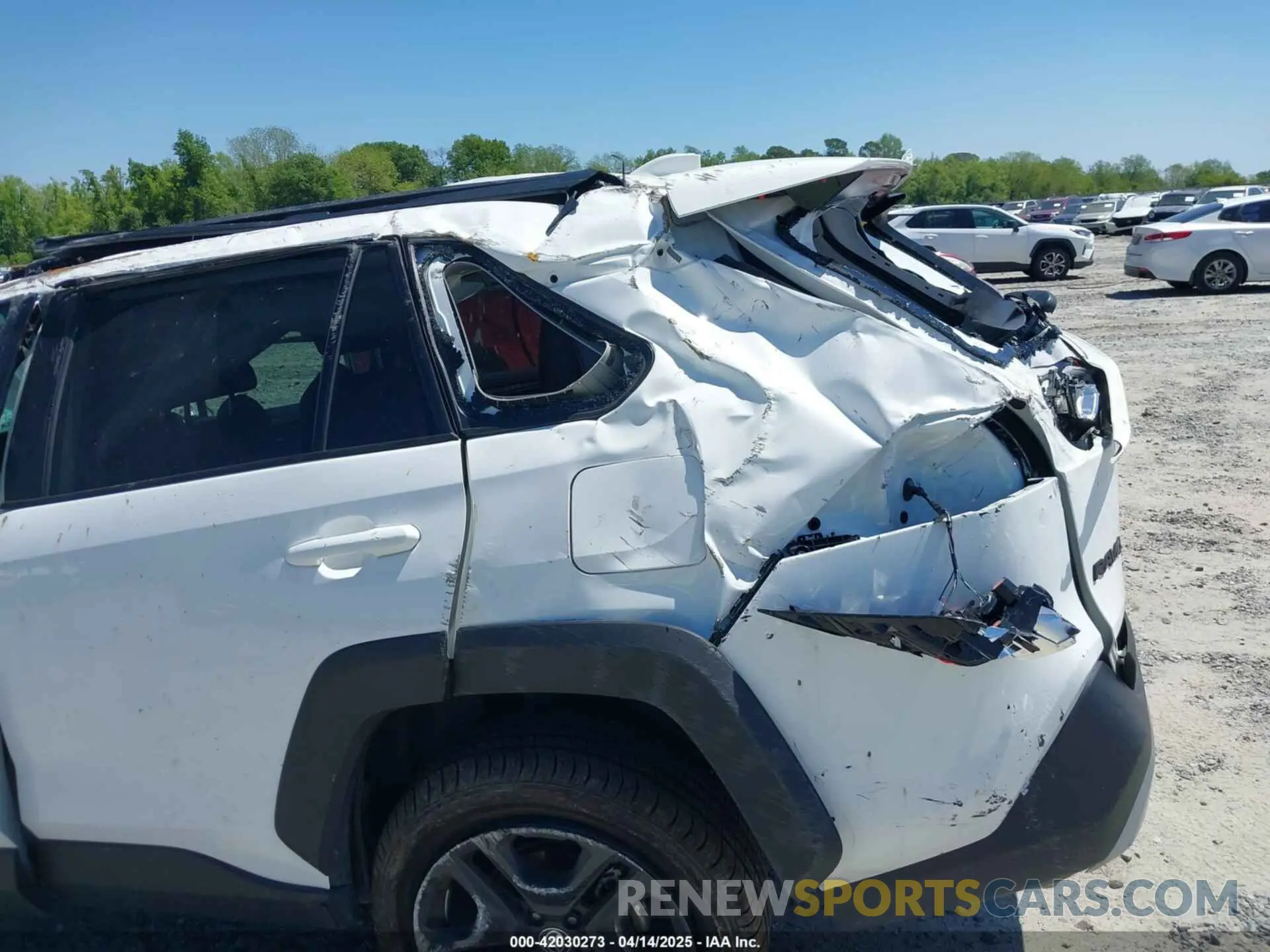 12 fotografías del automóvil dañado 2T3J1RFV0RW413618 TOYOTA RAV4 2024