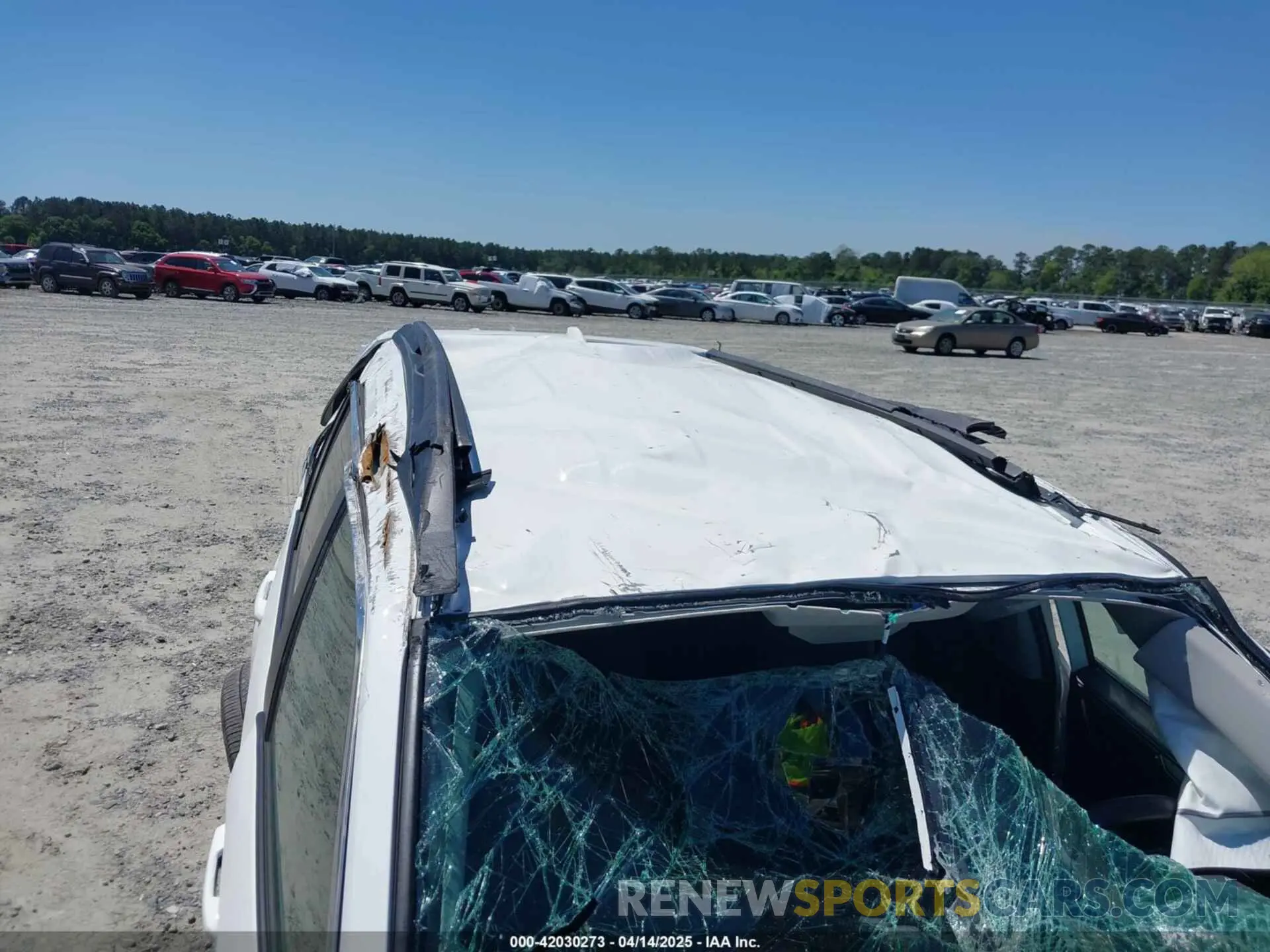 15 fotografías del automóvil dañado 2T3J1RFV0RW413618 TOYOTA RAV4 2024