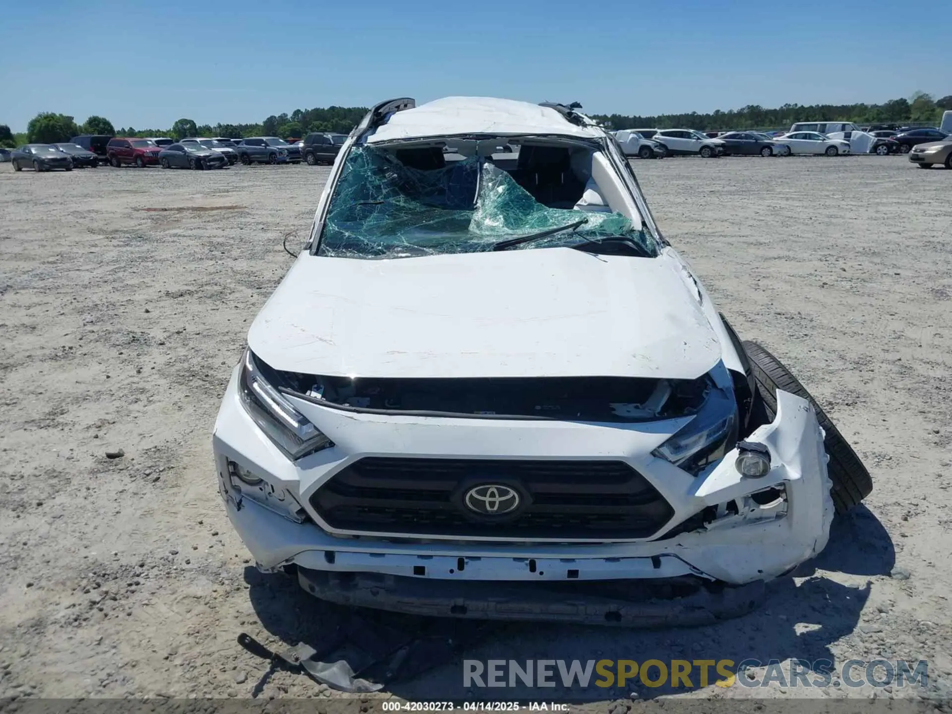 6 fotografías del automóvil dañado 2T3J1RFV0RW413618 TOYOTA RAV4 2024