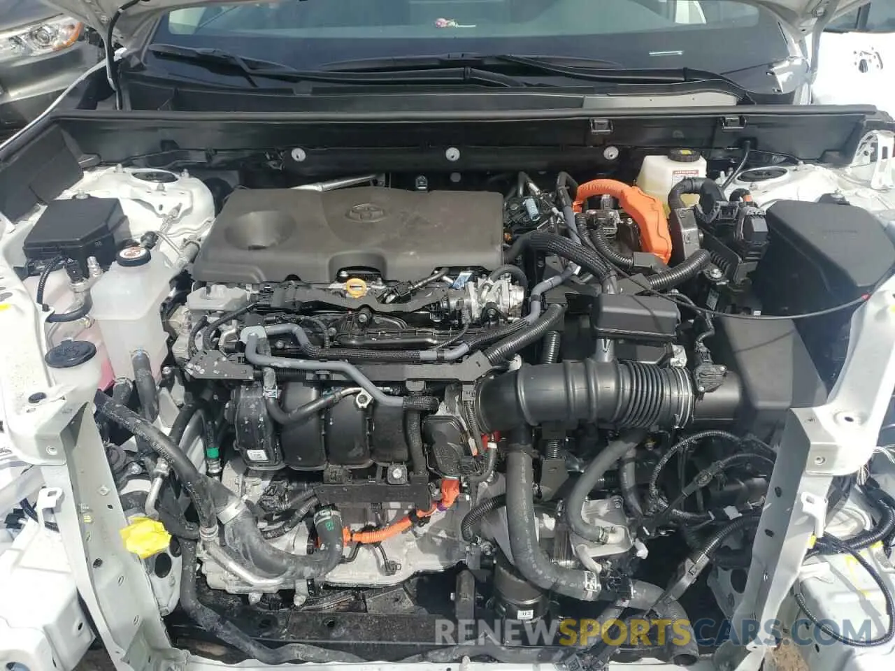 12 fotografías del automóvil dañado 2T3LWRFV7RW251108 TOYOTA RAV4 2024