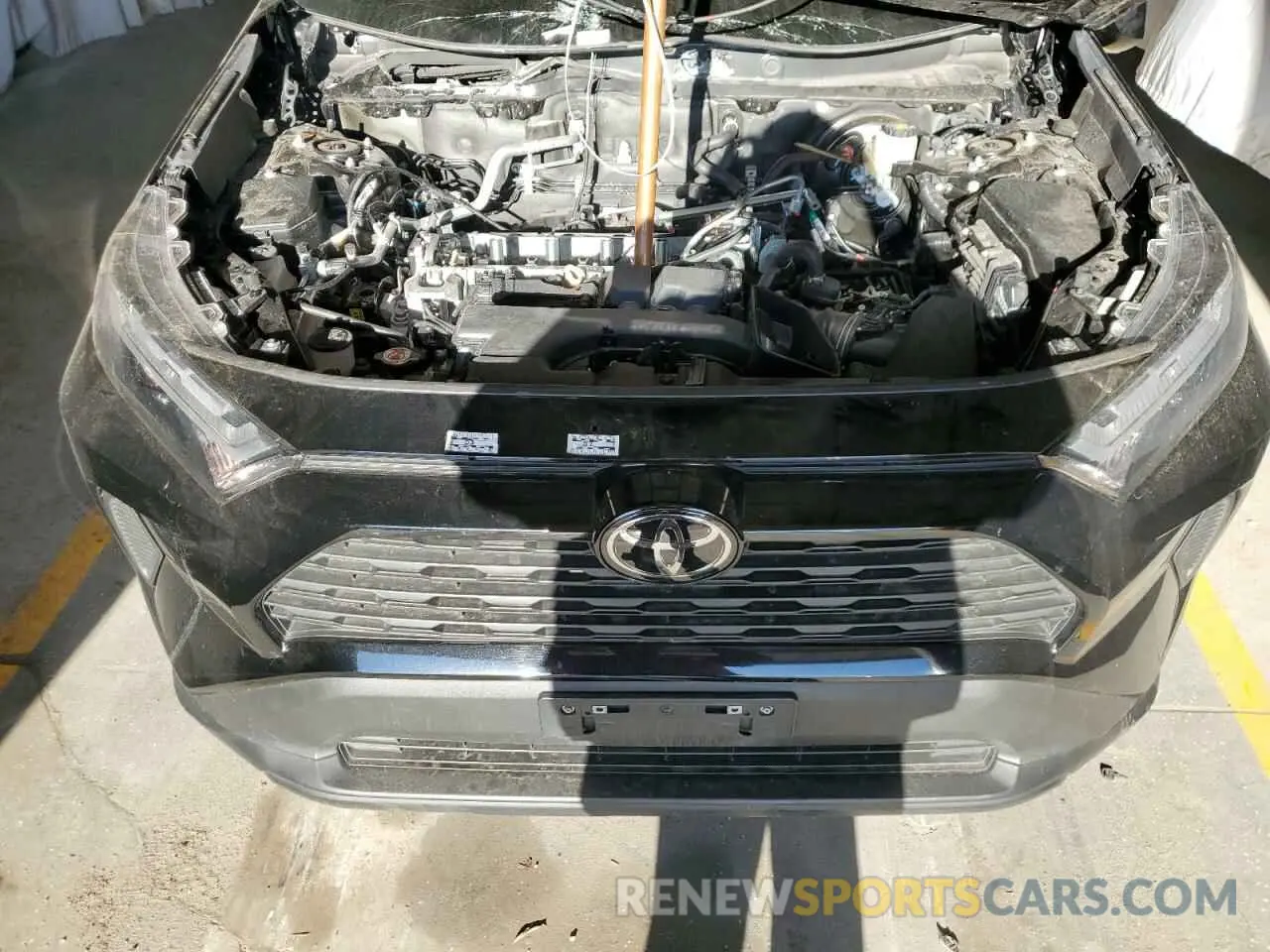 12 fotografías del automóvil dañado 2T3P1RFV0RC411962 TOYOTA RAV4 2024