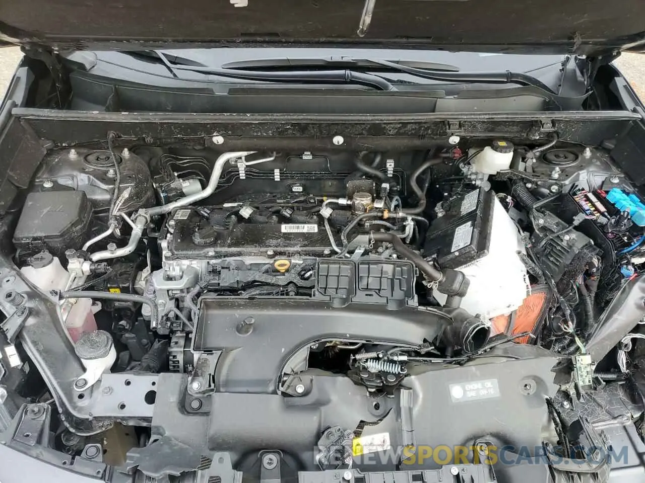 12 fotografías del automóvil dañado 2T3P1RFV2RW465195 TOYOTA RAV4 2024
