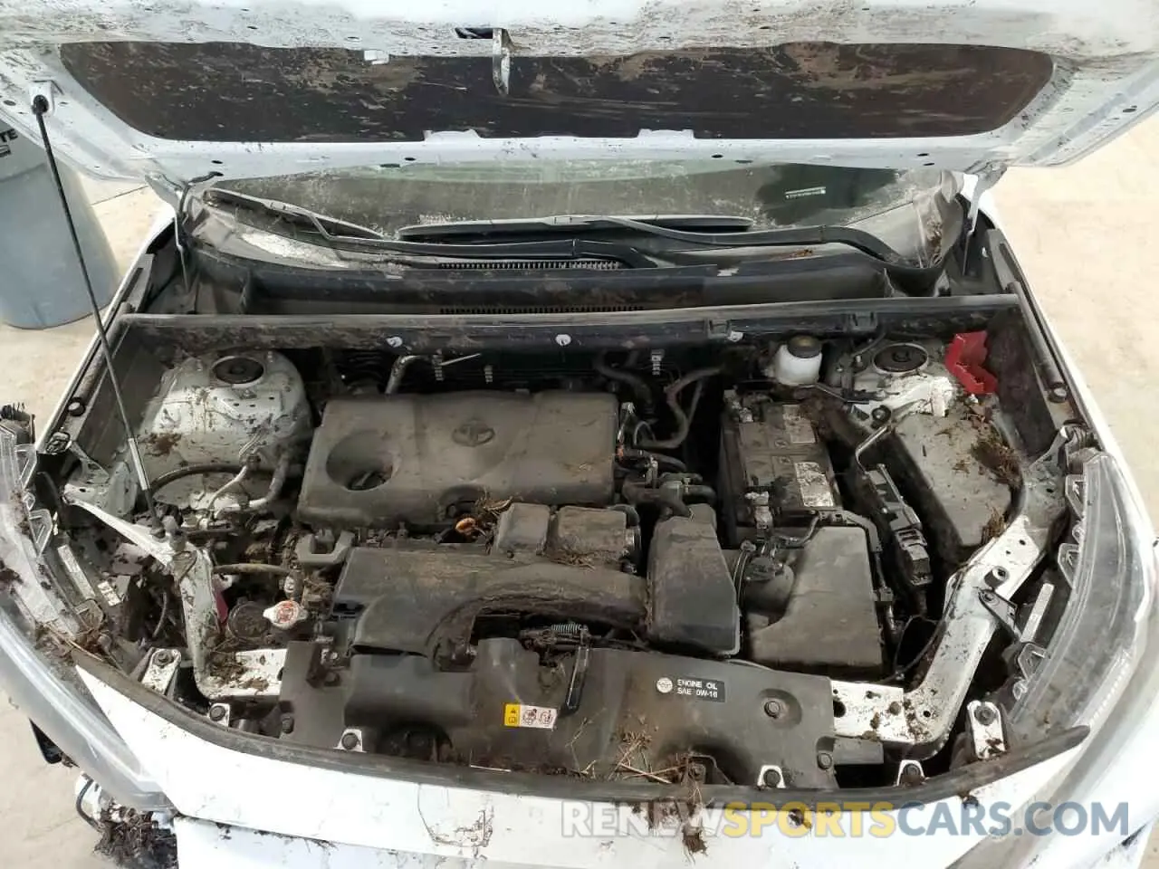 12 fotografías del automóvil dañado 2T3P1RFV7RW413268 TOYOTA RAV4 2024