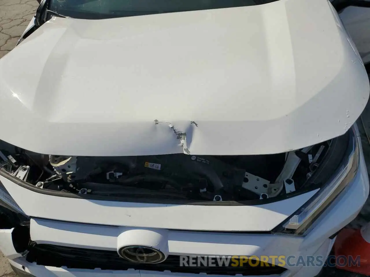 12 fotografías del automóvil dañado 2T3P1RFV7RW489220 TOYOTA RAV4 2024