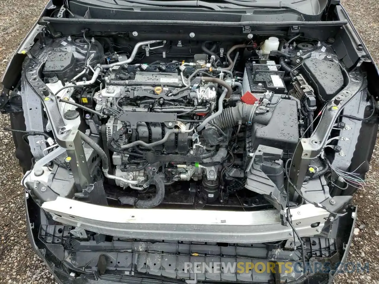 12 fotografías del automóvil dañado 2T3R1RFV9RC417817 TOYOTA RAV4 2024