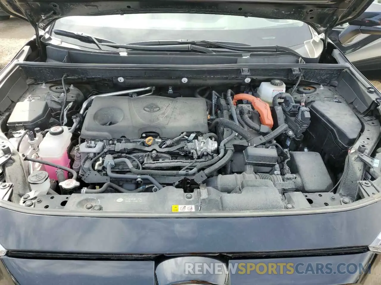 12 fotografías del automóvil dañado 2T3RWRFV0RW192087 TOYOTA RAV4 2024