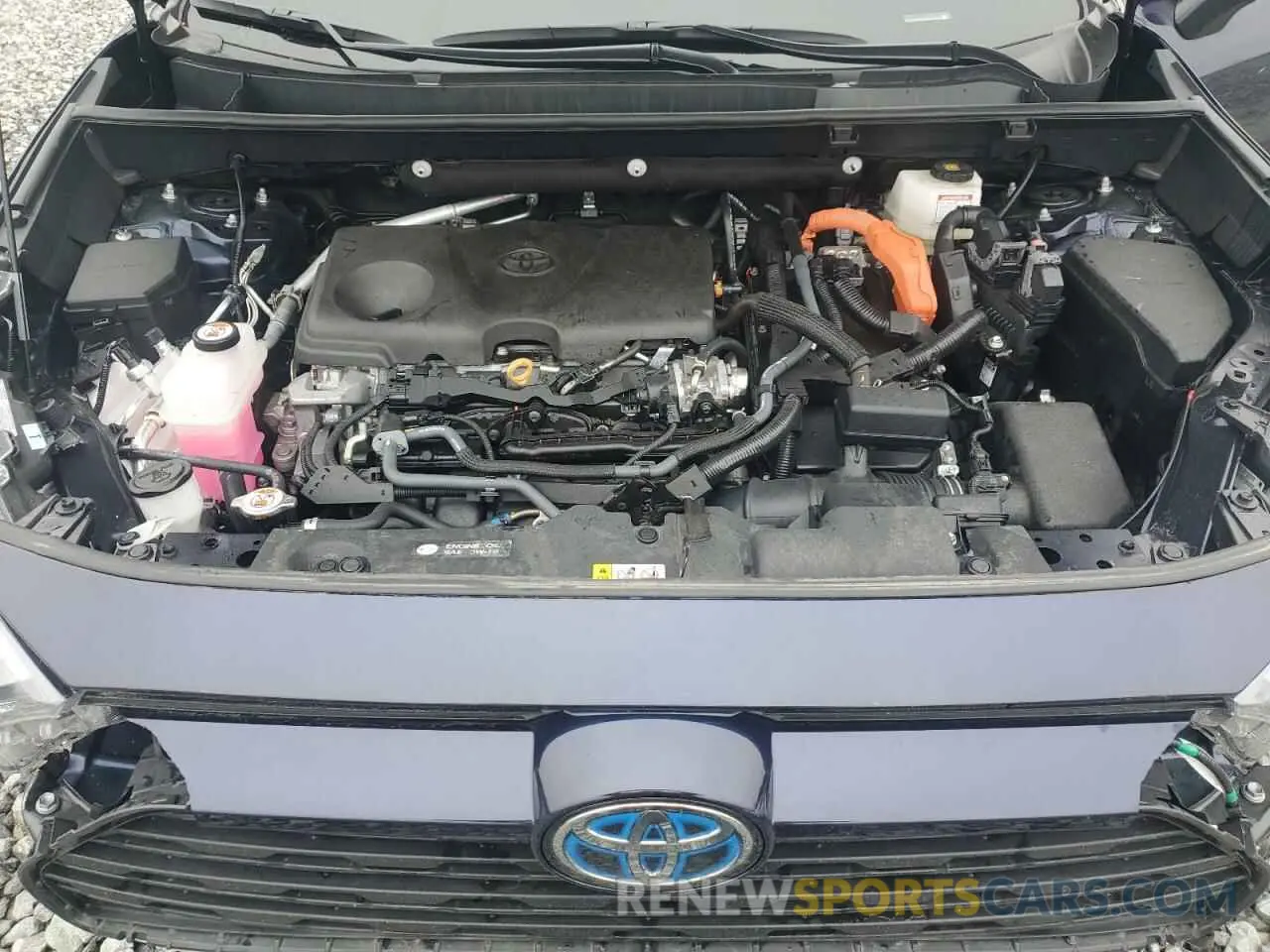 12 fotografías del automóvil dañado 2T3RWRFV4RW219002 TOYOTA RAV4 2024