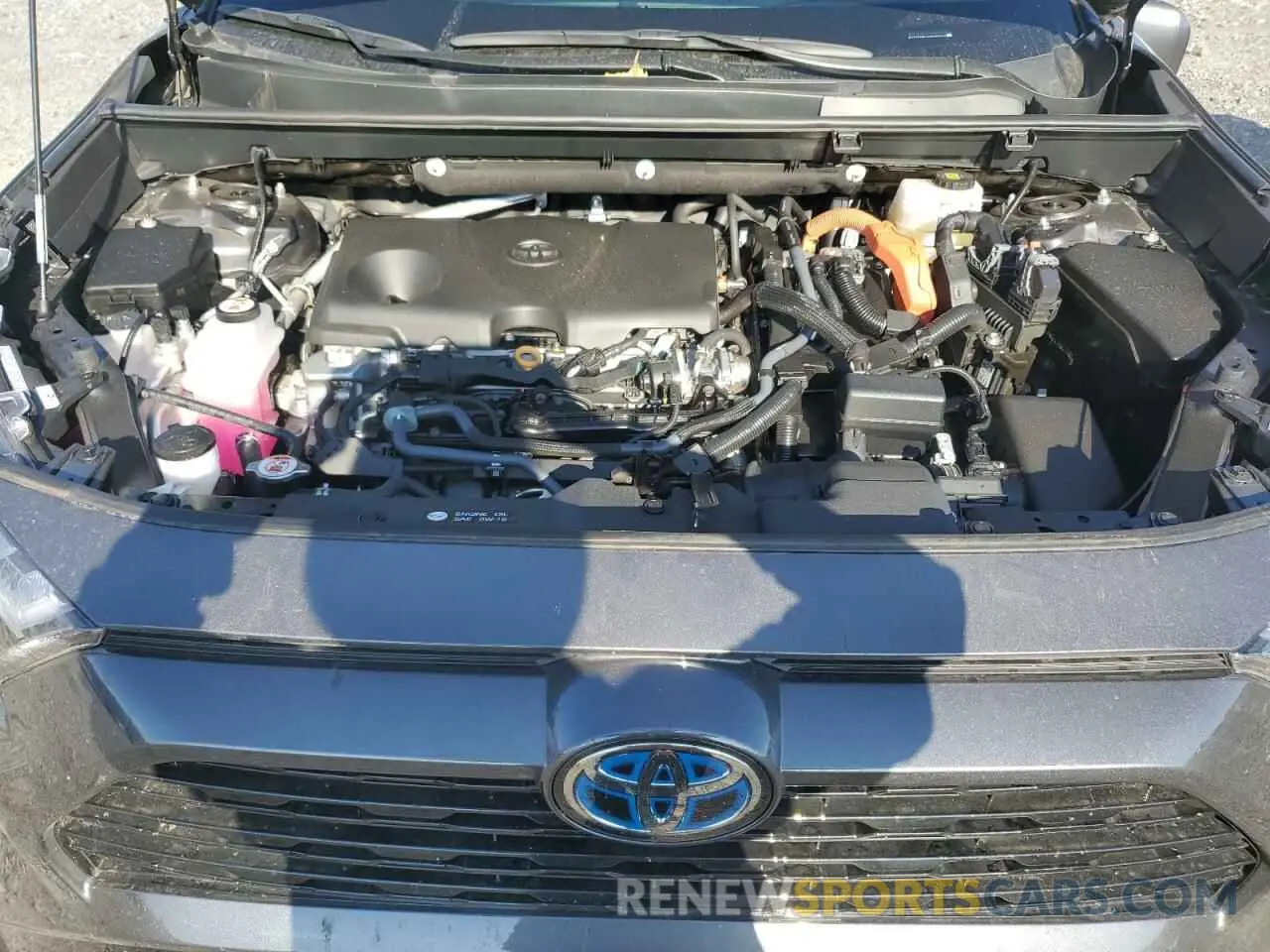 11 fotografías del automóvil dañado 2T3T6RFV4RW069298 TOYOTA RAV4 2024