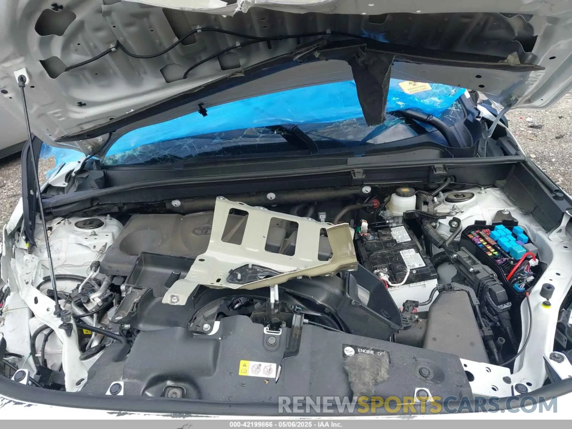 10 fotografías del automóvil dañado 2T3W1RFV1RW351958 TOYOTA RAV4 2024