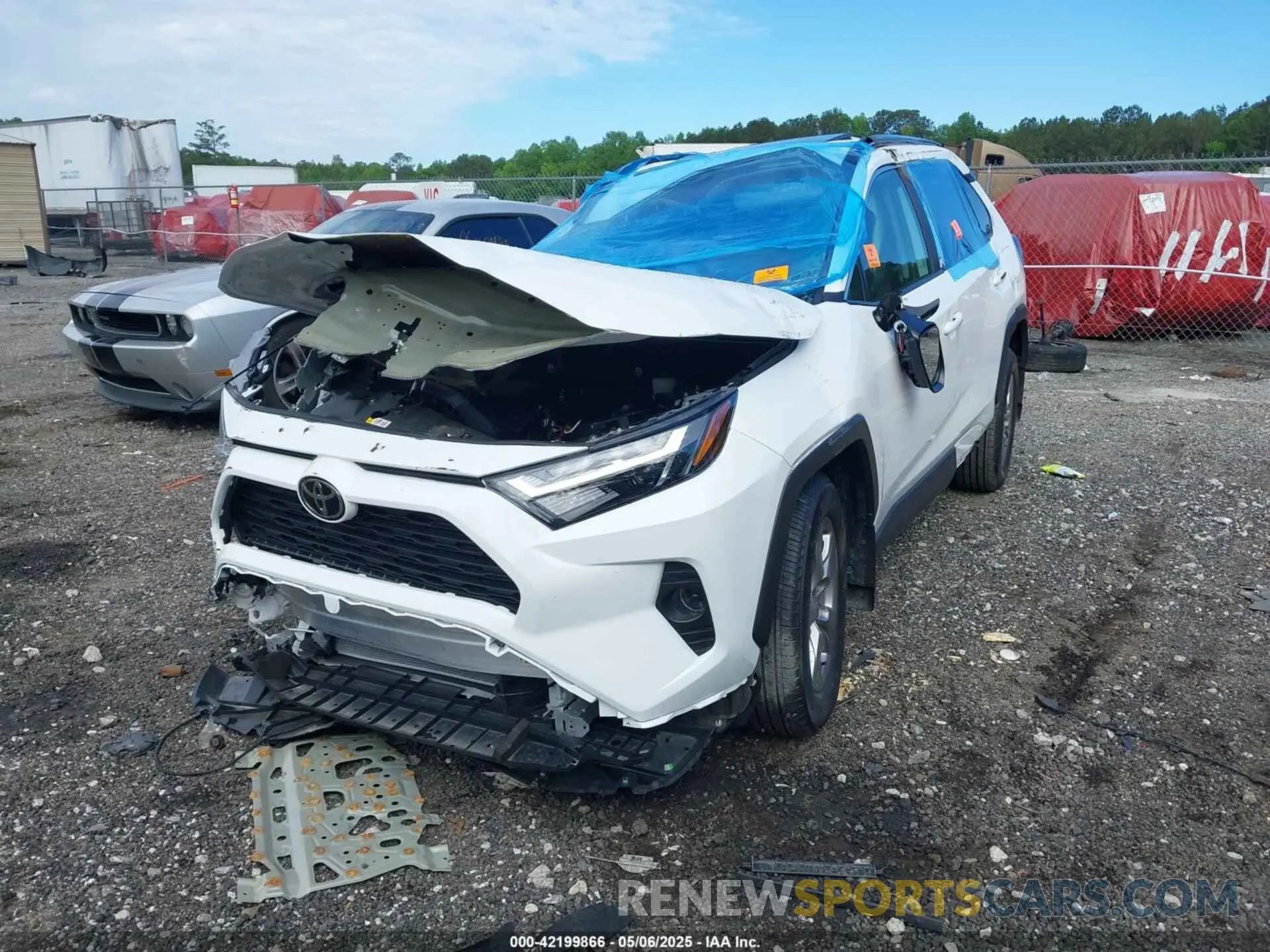 6 fotografías del automóvil dañado 2T3W1RFV1RW351958 TOYOTA RAV4 2024