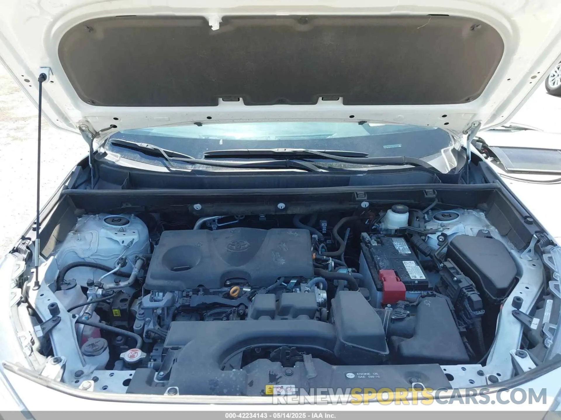 10 fotografías del automóvil dañado 2T3W1RFV4RW312779 TOYOTA RAV4 2024