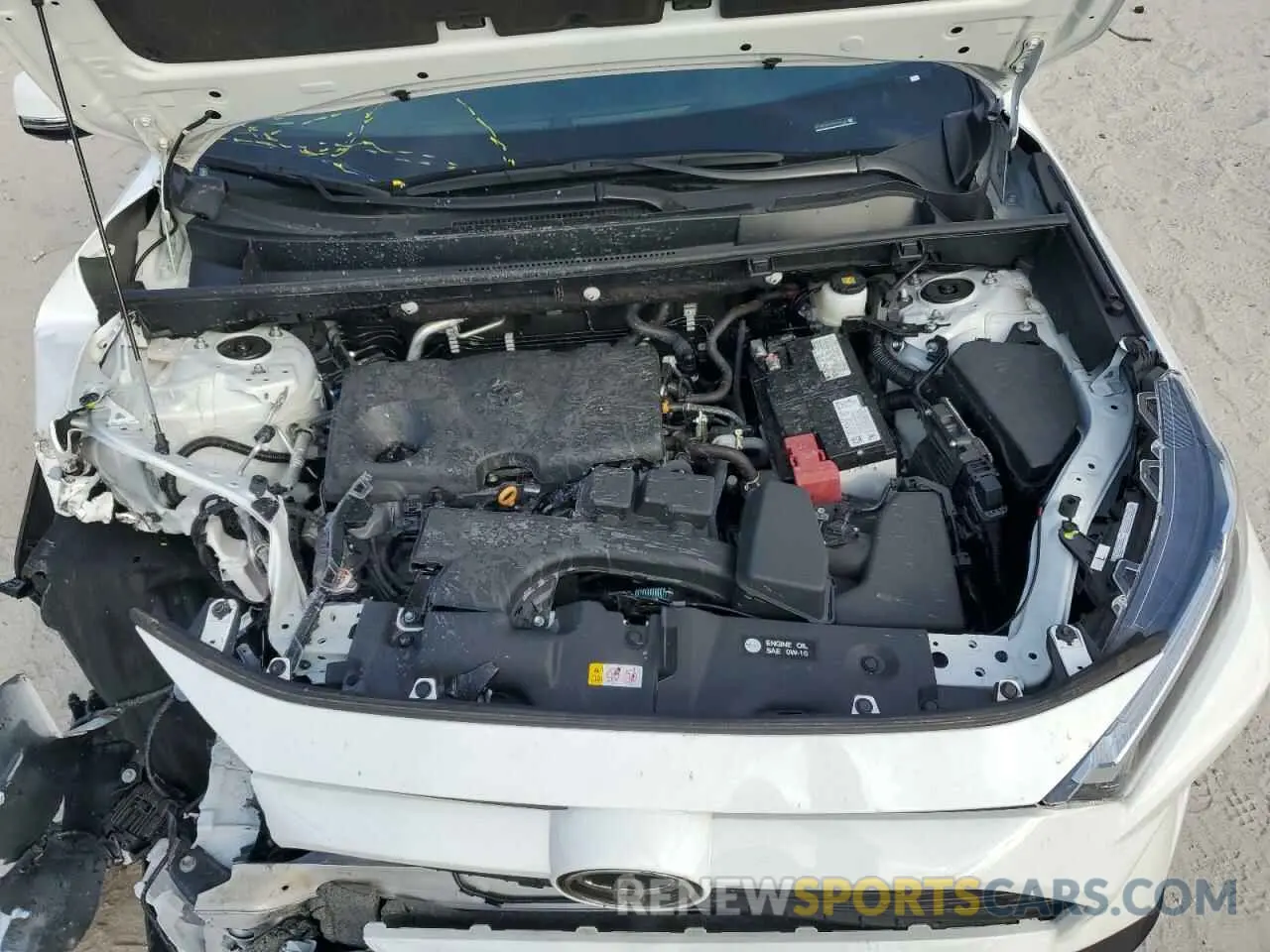 12 fotografías del automóvil dañado 2T3W1RFV7RC260128 TOYOTA RAV4 2024