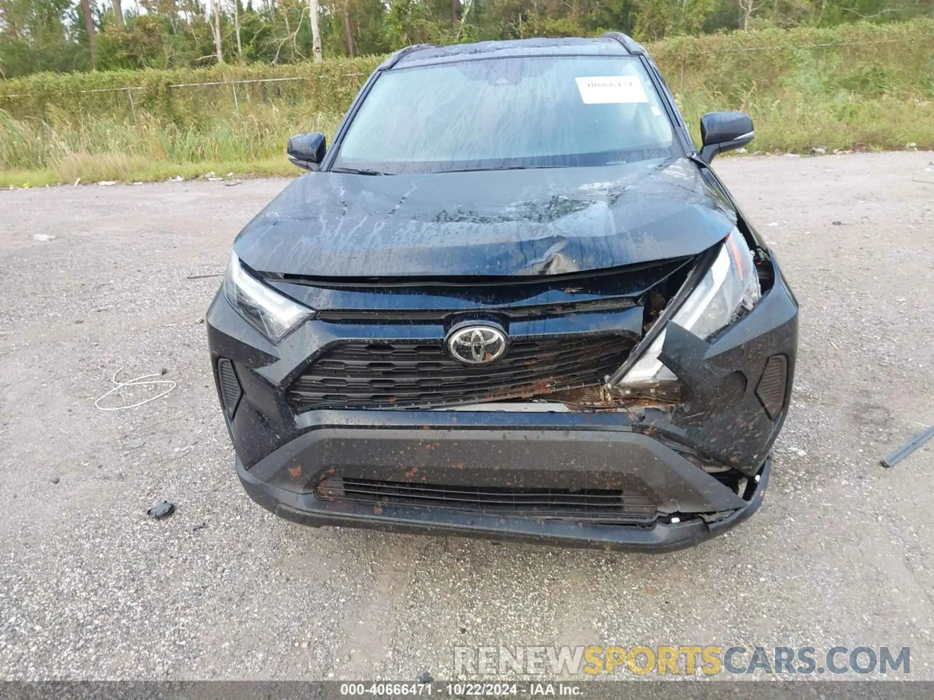 12 fotografías del automóvil dañado 2T3W1RFV7RW328264 TOYOTA RAV4 2024