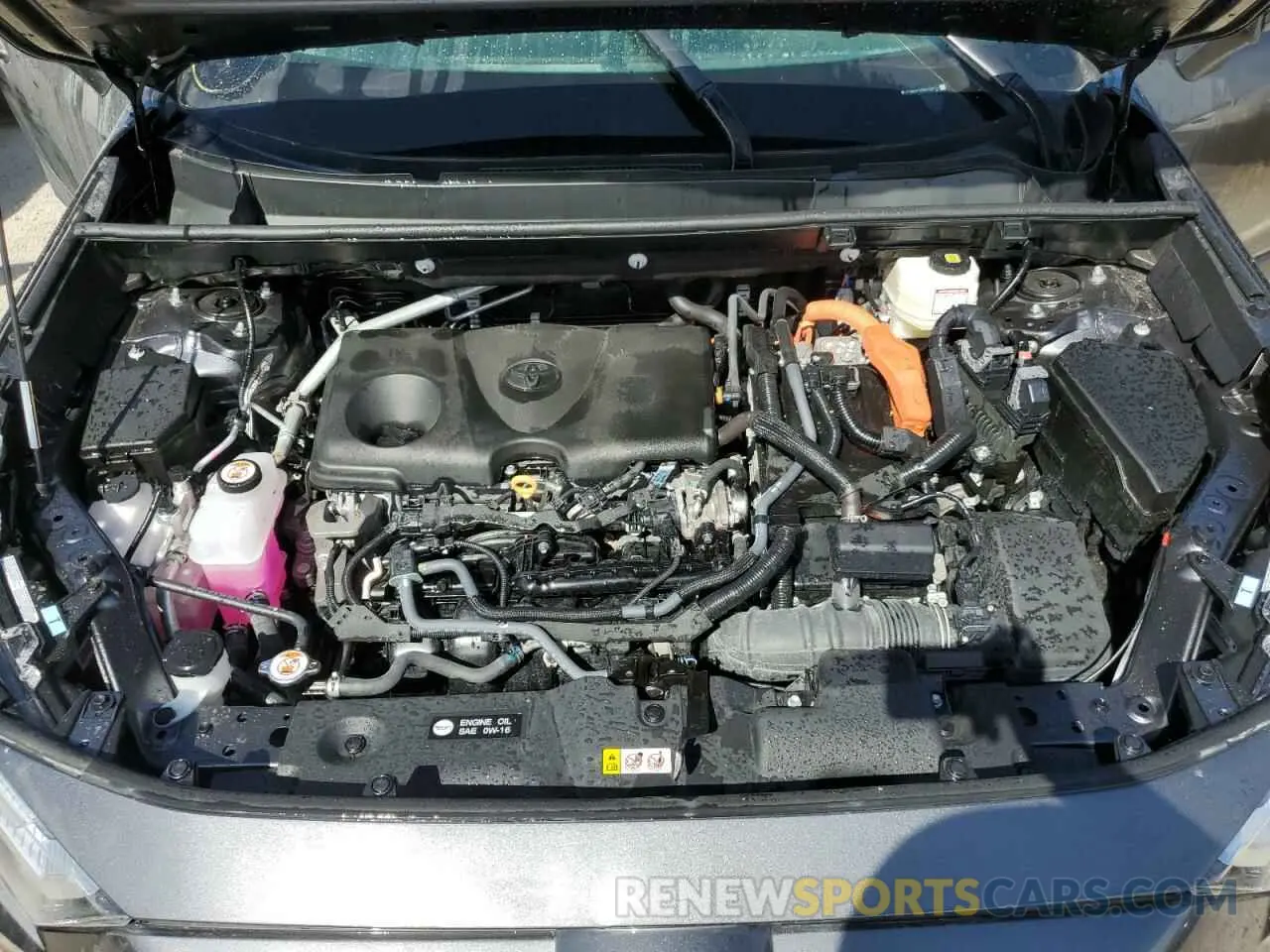 12 fotografías del automóvil dañado 4T3B6RFV5RU158759 TOYOTA RAV4 2024