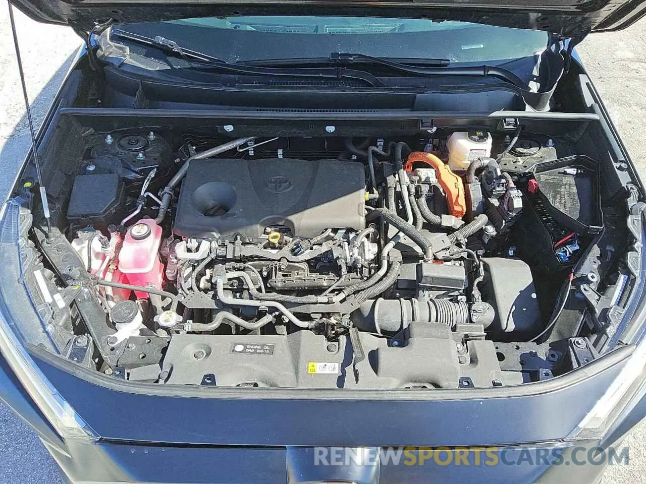 11 fotografías del automóvil dañado 4T3LWRFV4RU125921 TOYOTA RAV4 2024