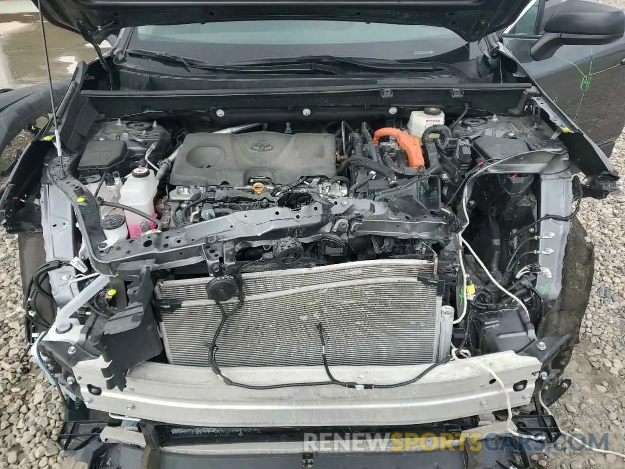 12 fotografías del automóvil dañado 4T3LWRFV4RU160992 TOYOTA RAV4 2024