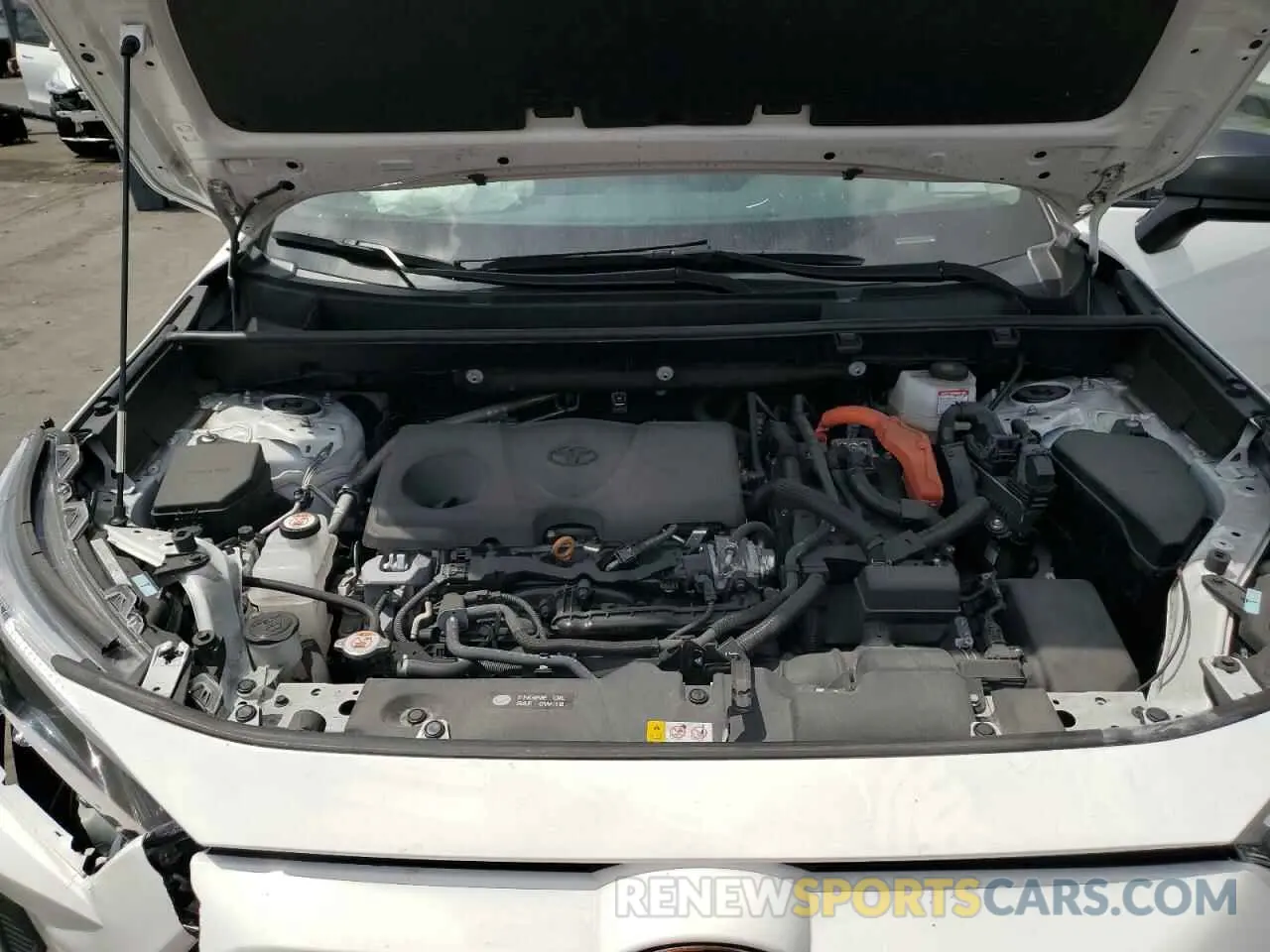 13 fotografías del automóvil dañado 4T3LWRFV7RU128599 TOYOTA RAV4 2024