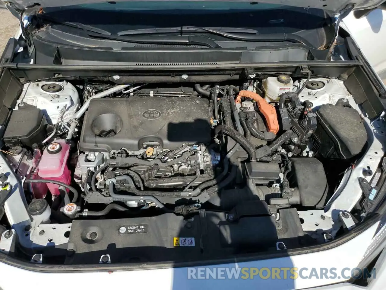 14 fotografías del automóvil dañado 4T3LWRFV9RU113098 TOYOTA RAV4 2024