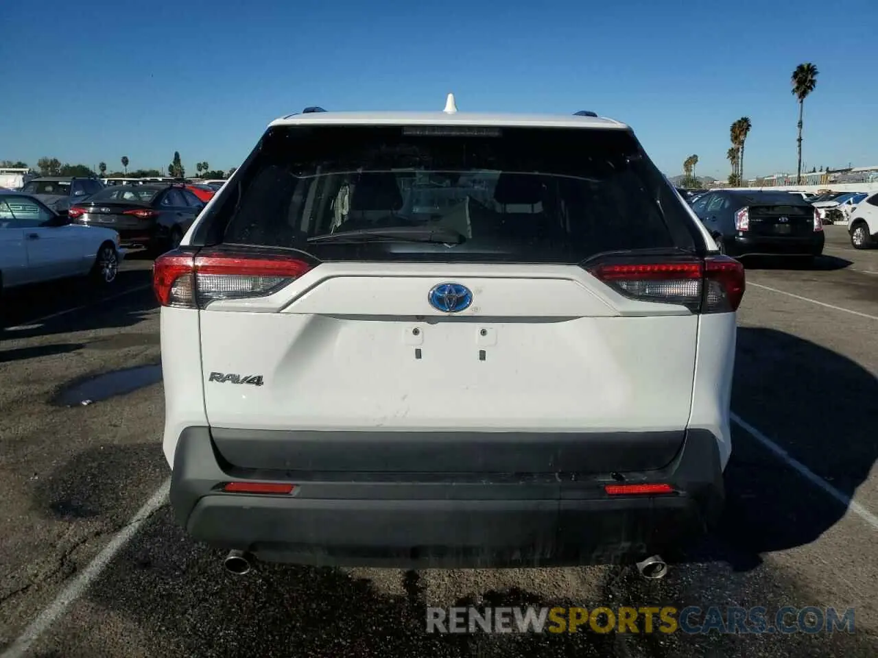 6 fotografías del automóvil dañado 4T3LWRFV9RU124599 TOYOTA RAV4 2024