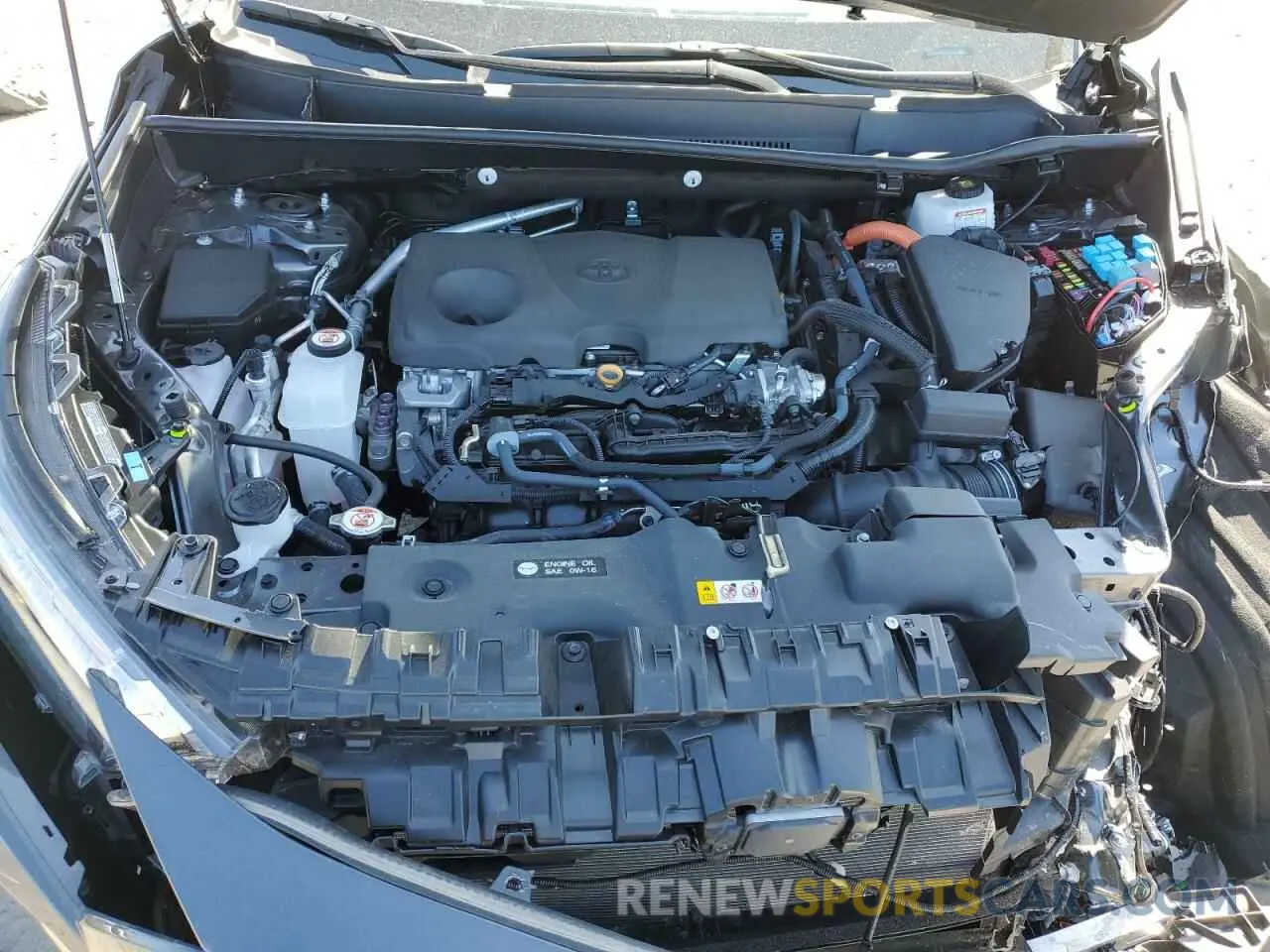 12 fotografías del automóvil dañado 4T3LWRFV9RU152046 TOYOTA RAV4 2024
