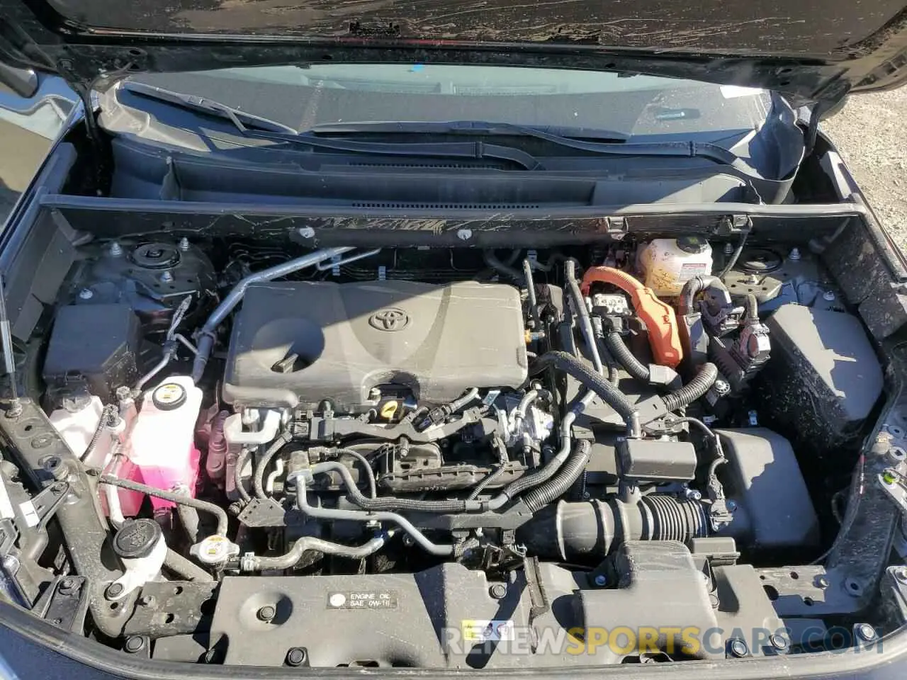 12 fotografías del automóvil dañado 4T3MWRFV3RU138292 TOYOTA RAV4 2024