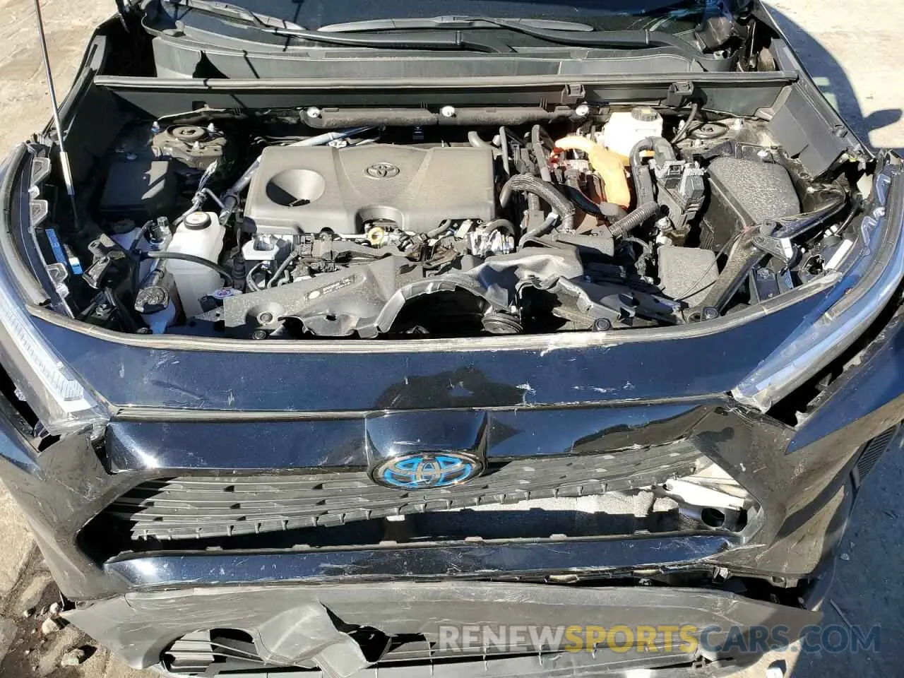 12 fotografías del automóvil dañado 4T3MWRFV7RU123648 TOYOTA RAV4 2024