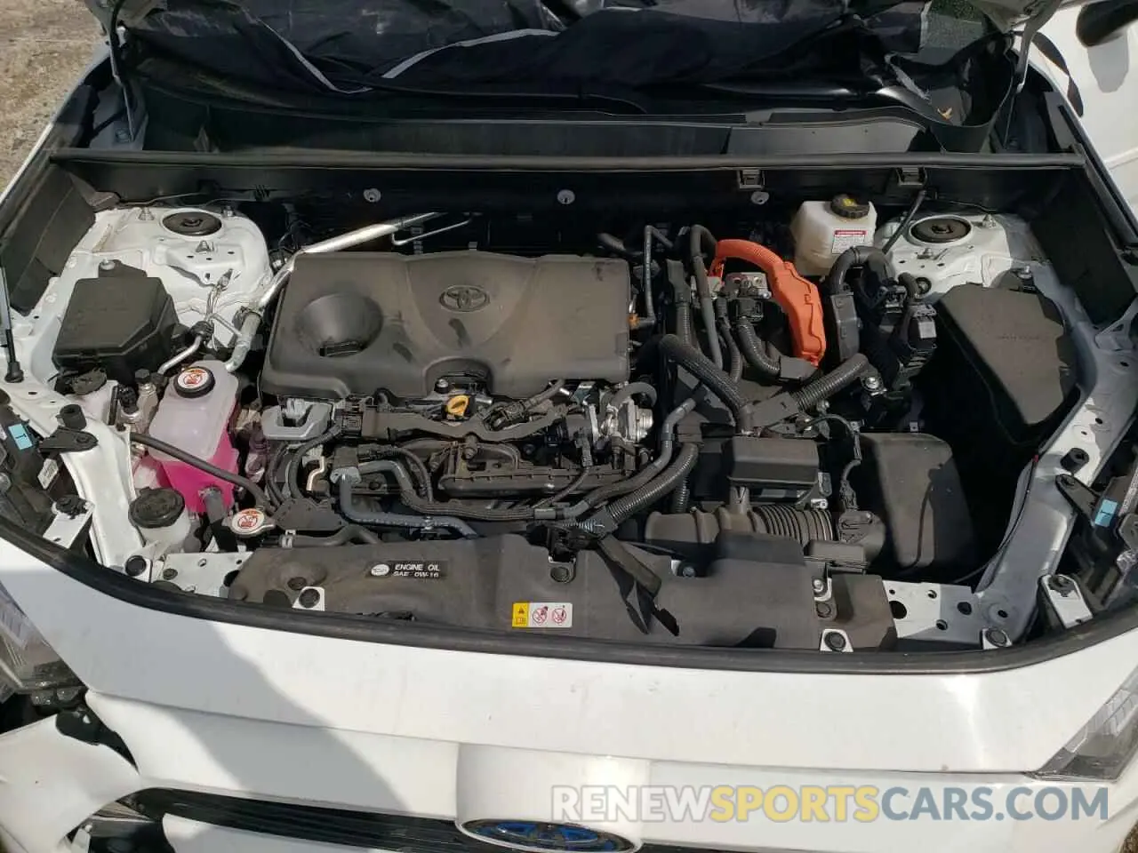 12 fotografías del automóvil dañado 4T3RWRFV5RU139207 TOYOTA RAV4 2024