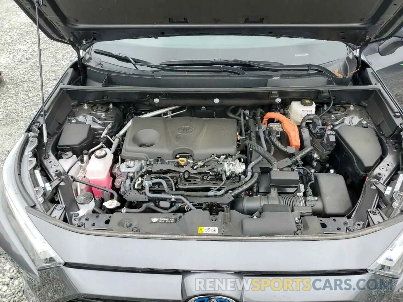 12 fotografías del automóvil dañado 4T3RWRFV9RU119865 TOYOTA RAV4 2024
