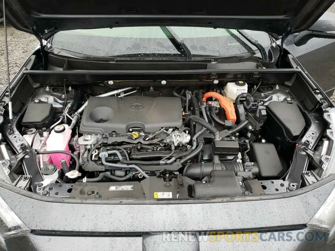 12 fotografías del automóvil dañado JTM16RFV6RD136794 TOYOTA RAV4 2024