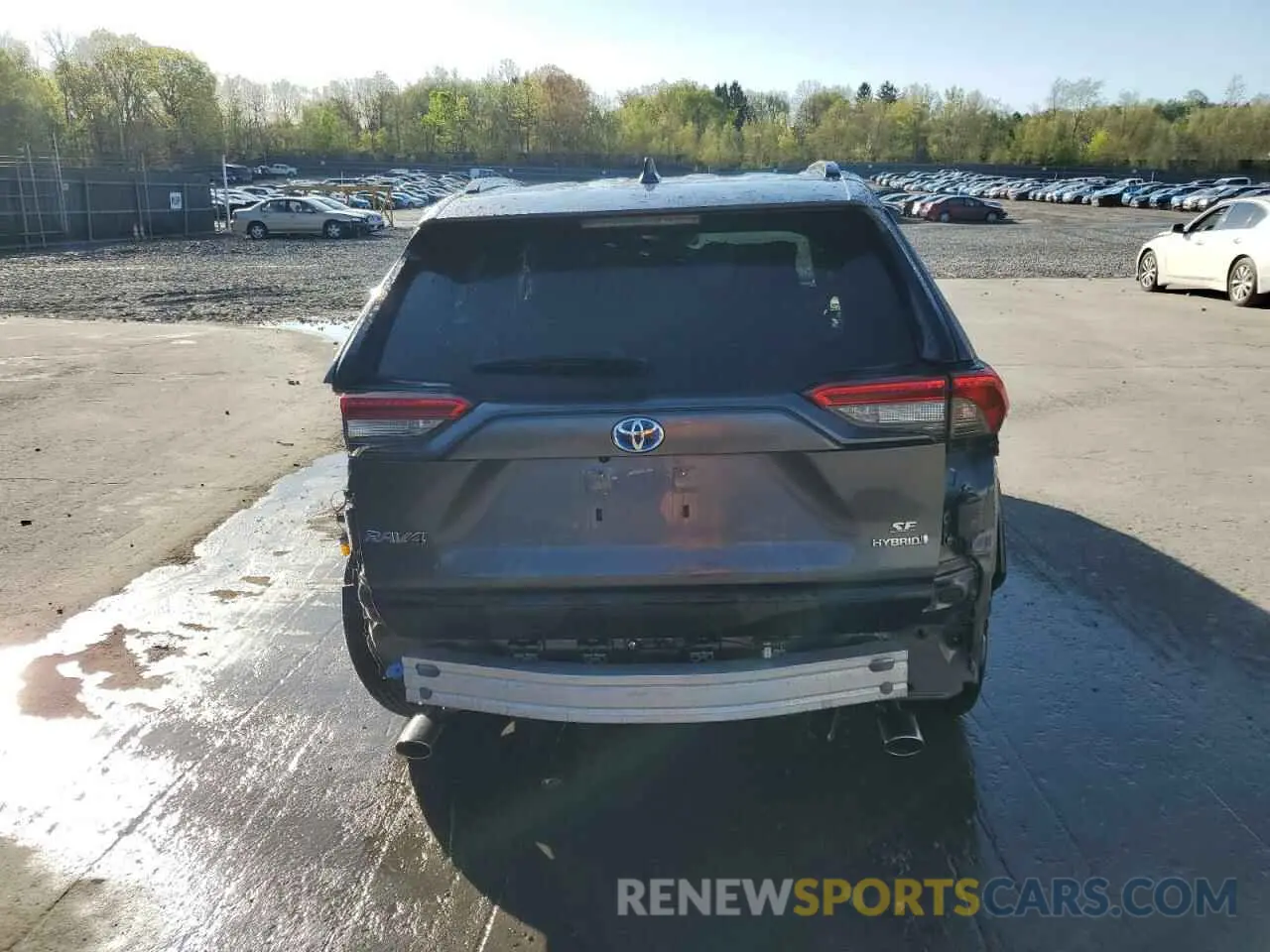 6 fotografías del automóvil dañado JTM16RFV8RD150504 TOYOTA RAV4 2024