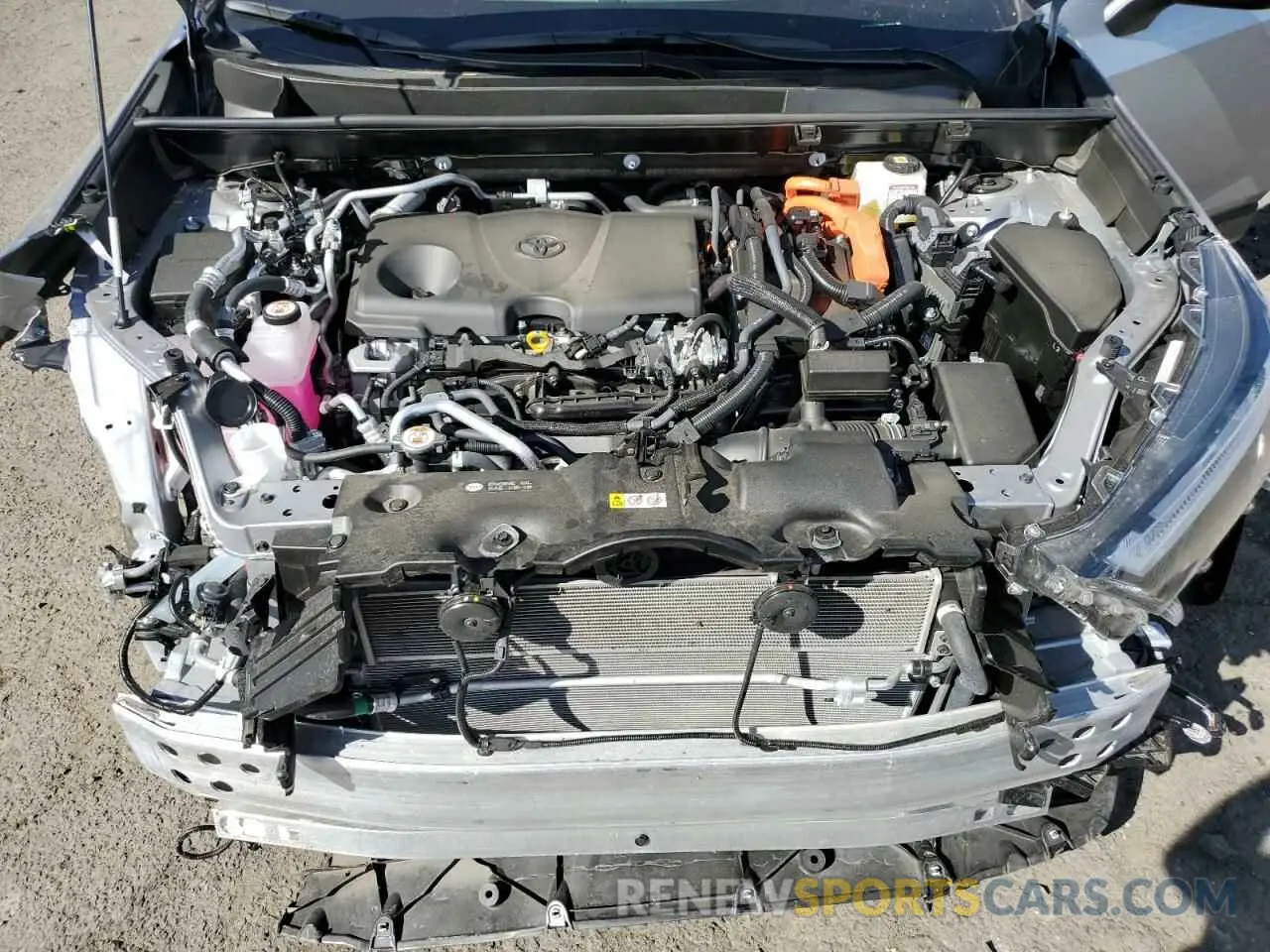 13 fotografías del automóvil dañado JTMAB3FV5RD194632 TOYOTA RAV4 2024