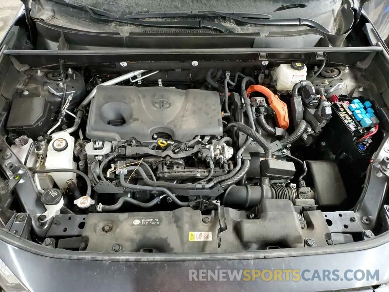 13 fotografías del automóvil dañado JTMB6RFV3RD117432 TOYOTA RAV4 2024