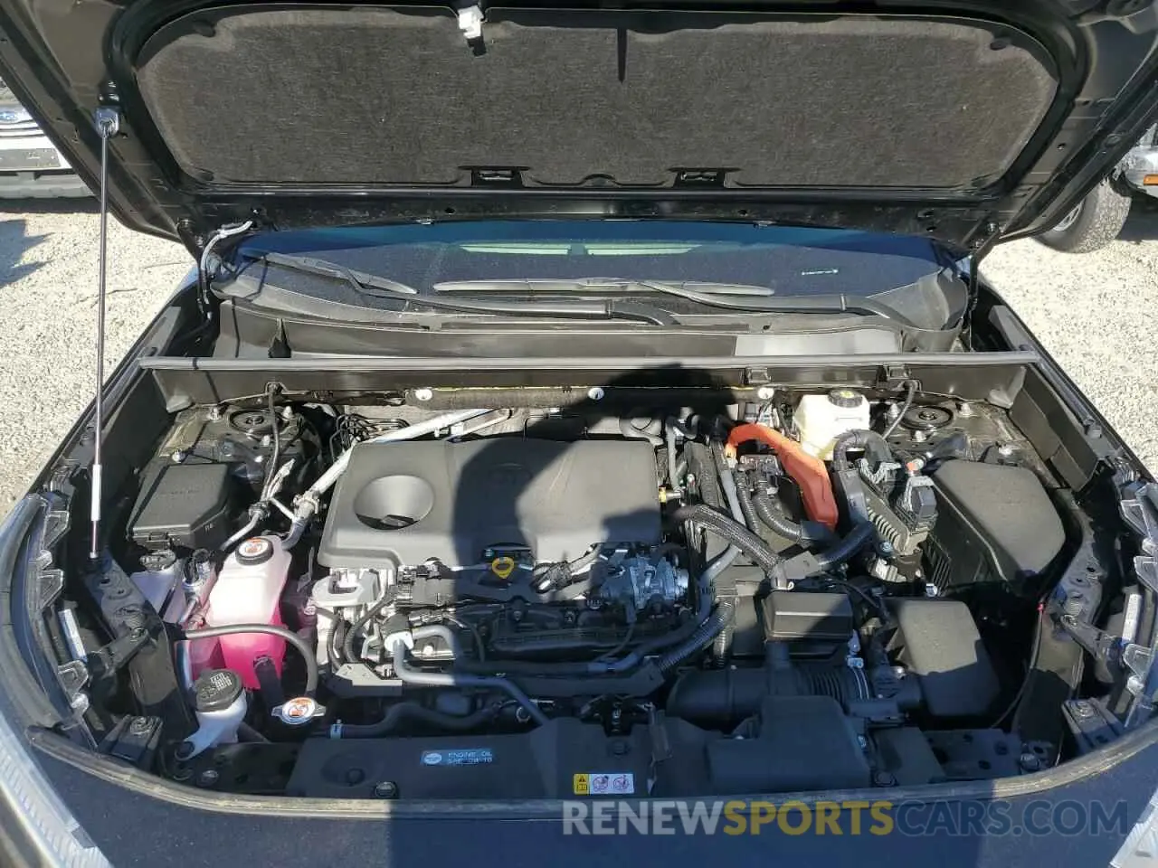 12 fotografías del automóvil dañado JTMB6RFVXRD116861 TOYOTA RAV4 2024