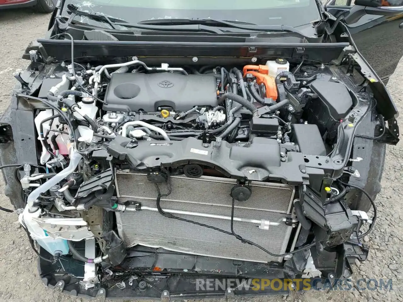 12 fotografías del automóvil dañado JTMCB3FV4RD207587 TOYOTA RAV4 2024